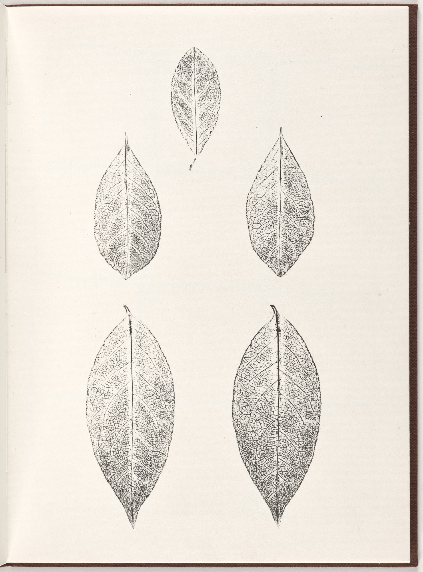 Ana Mendieta, Carl Andre. Plate (folio 10) from Pietre Foglie