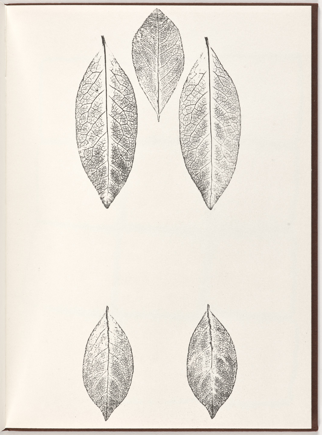 Ana Mendieta, Carl Andre. Plate (folio 12) from Pietre Foglie. 1984