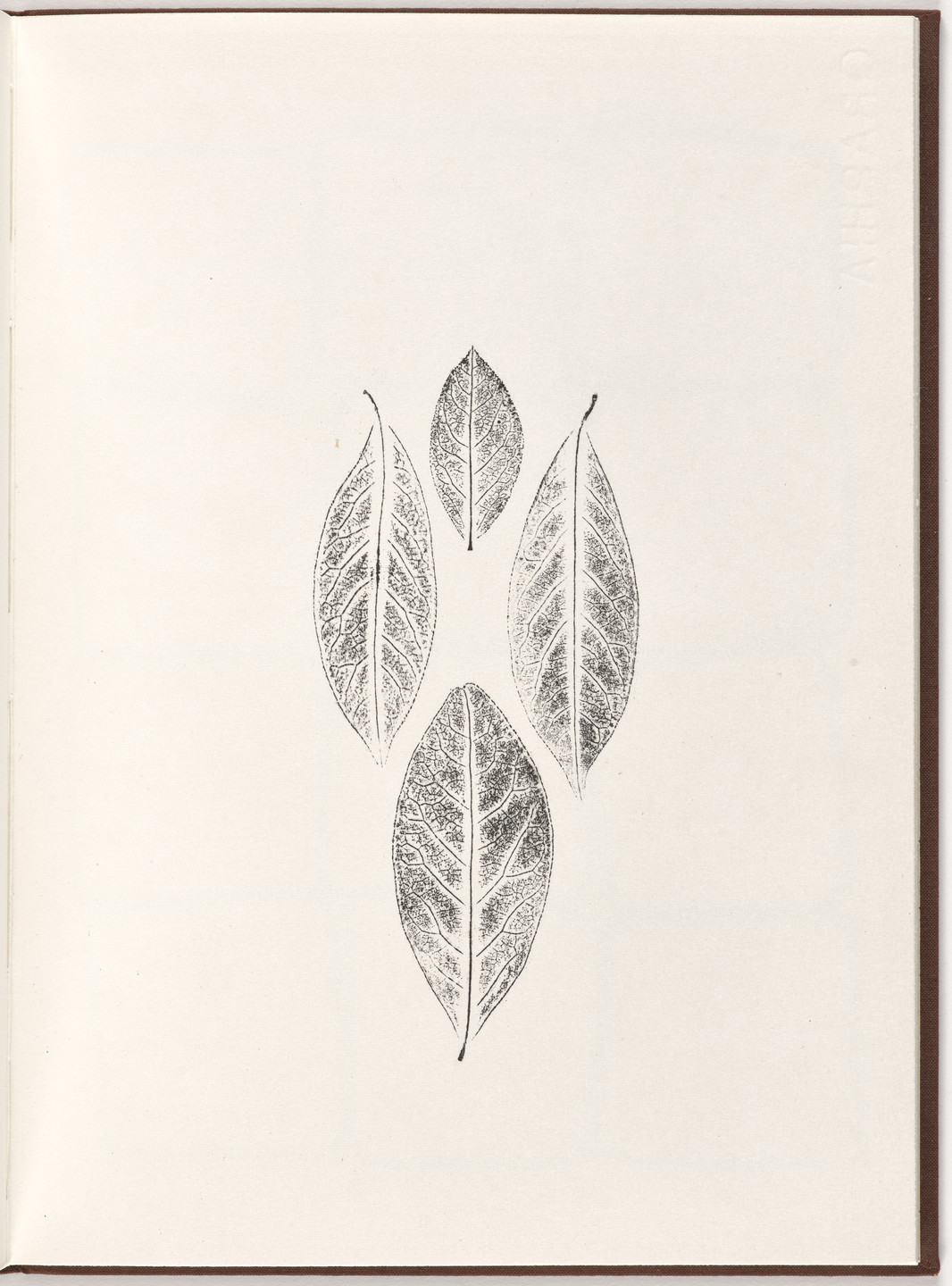 Ana Mendieta, Carl Andre. Plate (folio 14) from Pietre Foglie. 1984