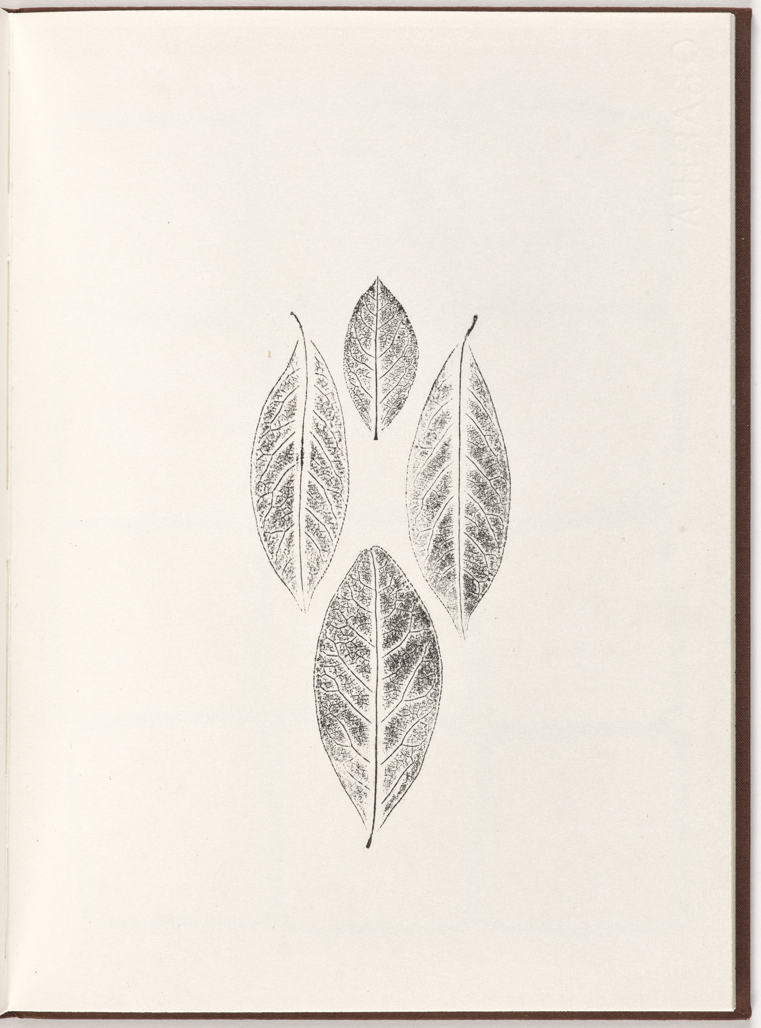 Ana Mendieta, Carl Andre. Plate (folio 14) from Pietre Foglie