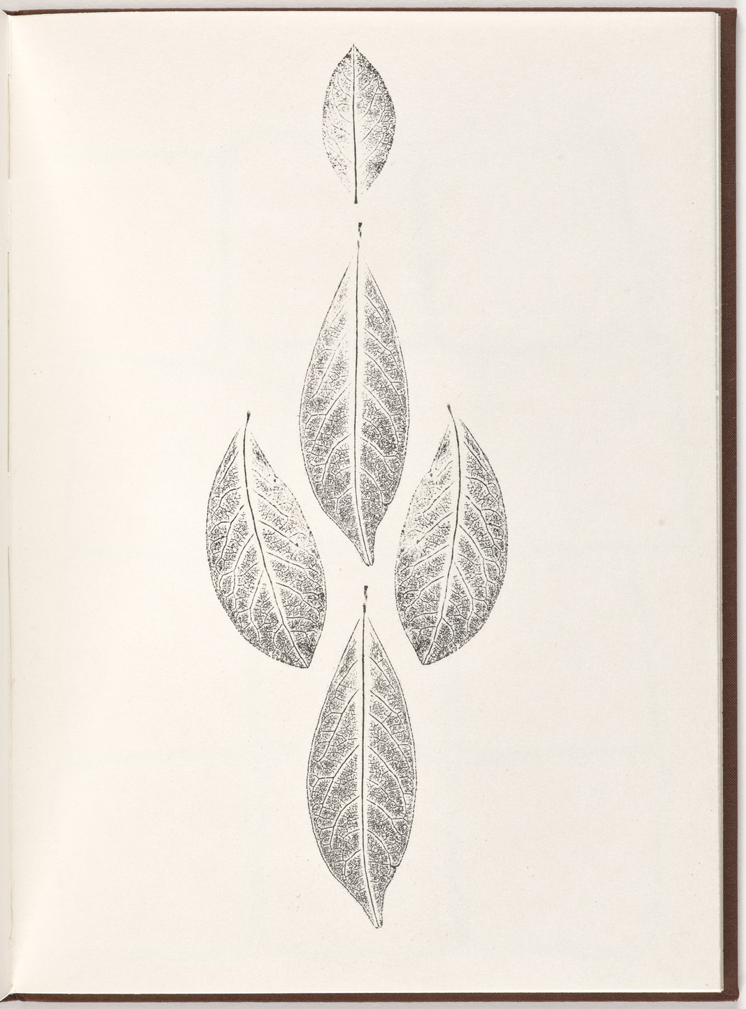 Ana Mendieta, Carl Andre. Plate (folio 16) from Pietre Foglie. 1984