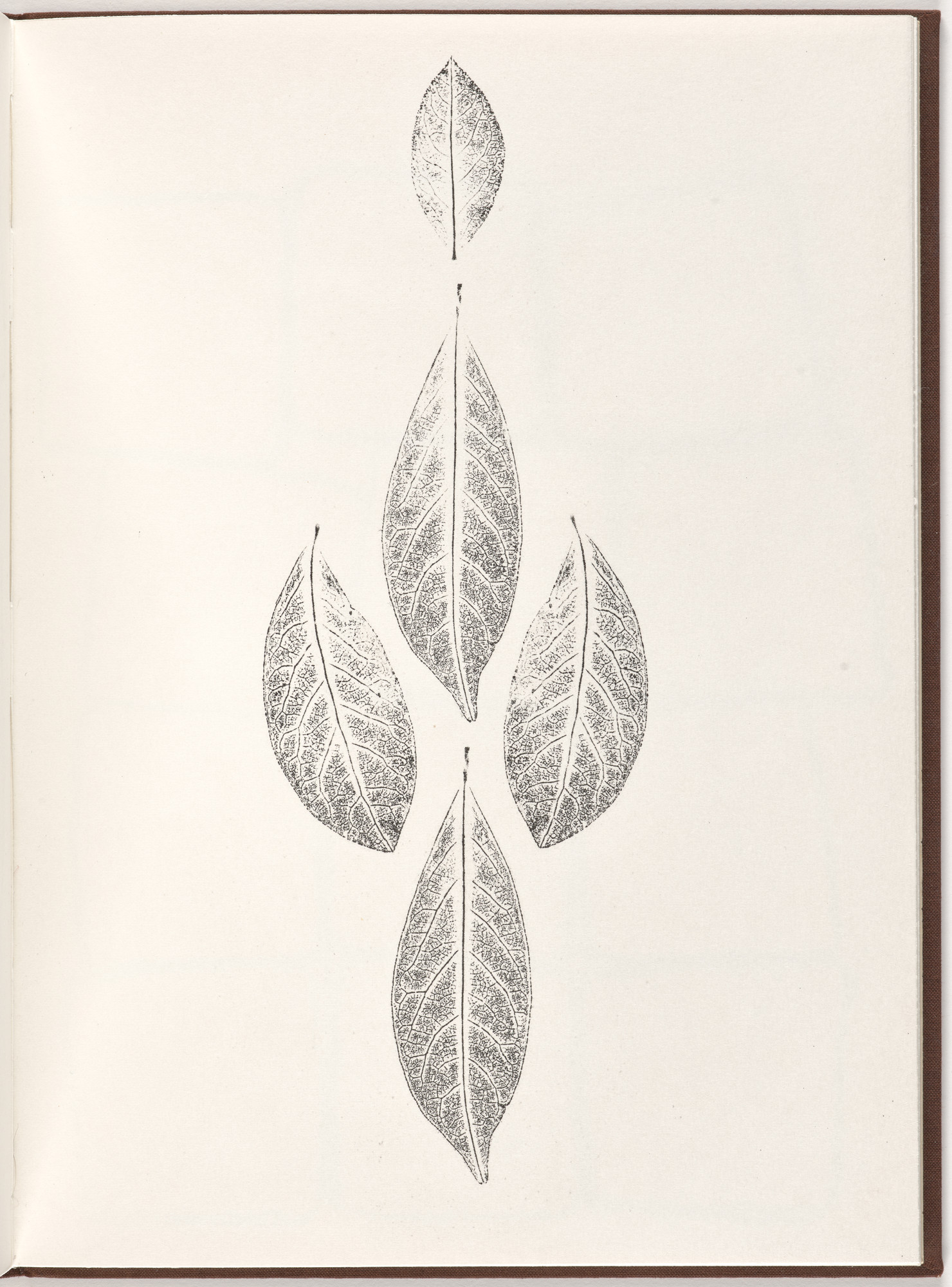 Ana Mendieta, Carl Andre. Plate (folio 16) from Pietre Foglie