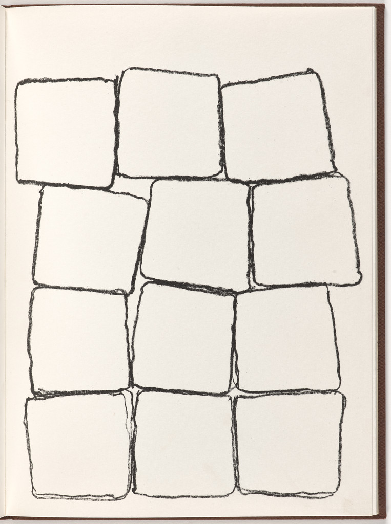 Plate (folio 17) from Pietre Foglie