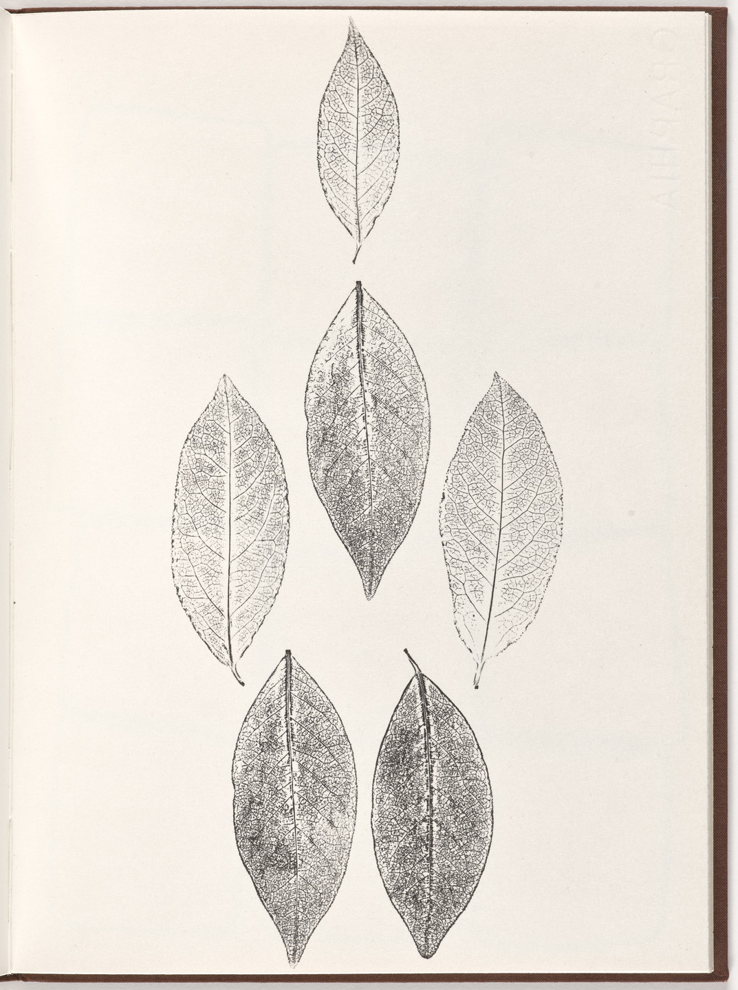 Ana Mendieta, Carl Andre. Plate (folio 18) from Pietre Foglie. 1984