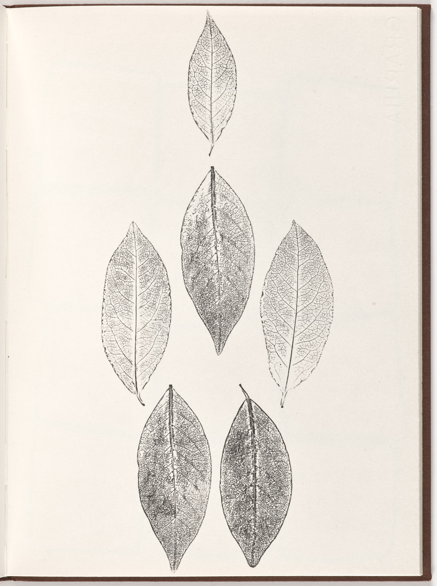 Ana Mendieta, Carl Andre. Plate (folio 18) from Pietre Foglie