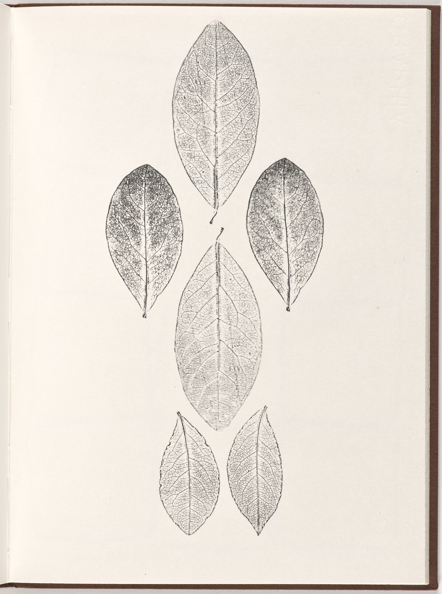 Ana Mendieta, Carl Andre. Plate (folio 20) from Pietre Foglie