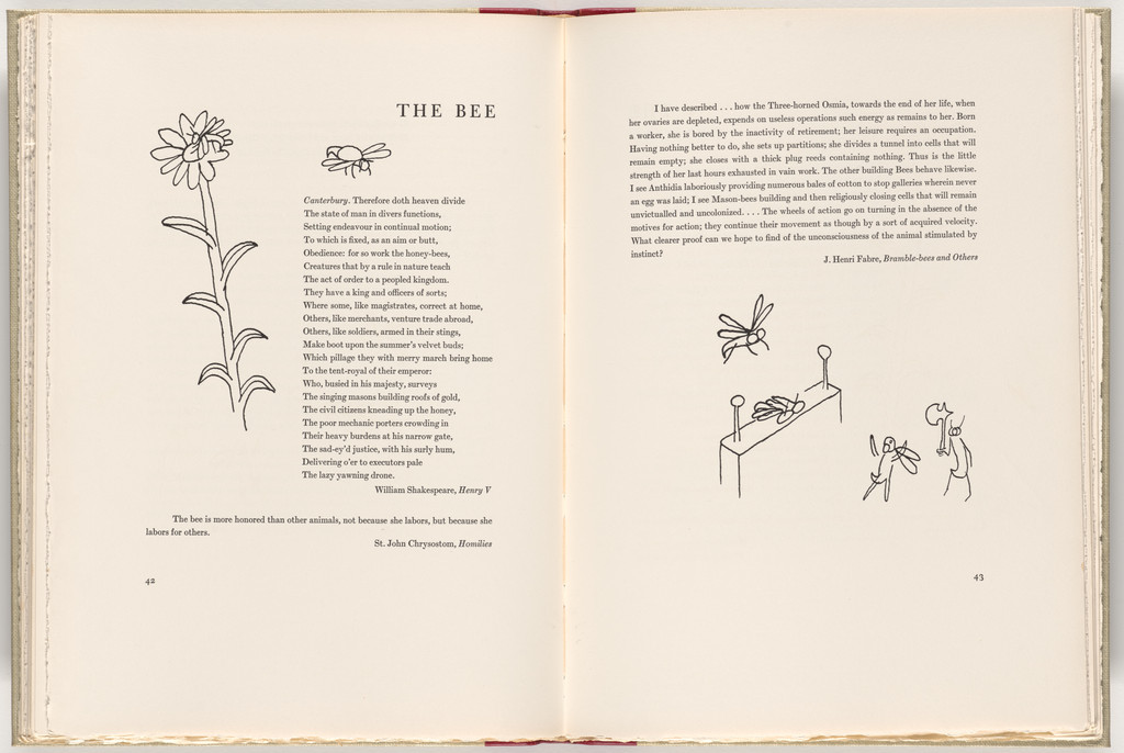 In-text plate (page 42) from A Bestiary