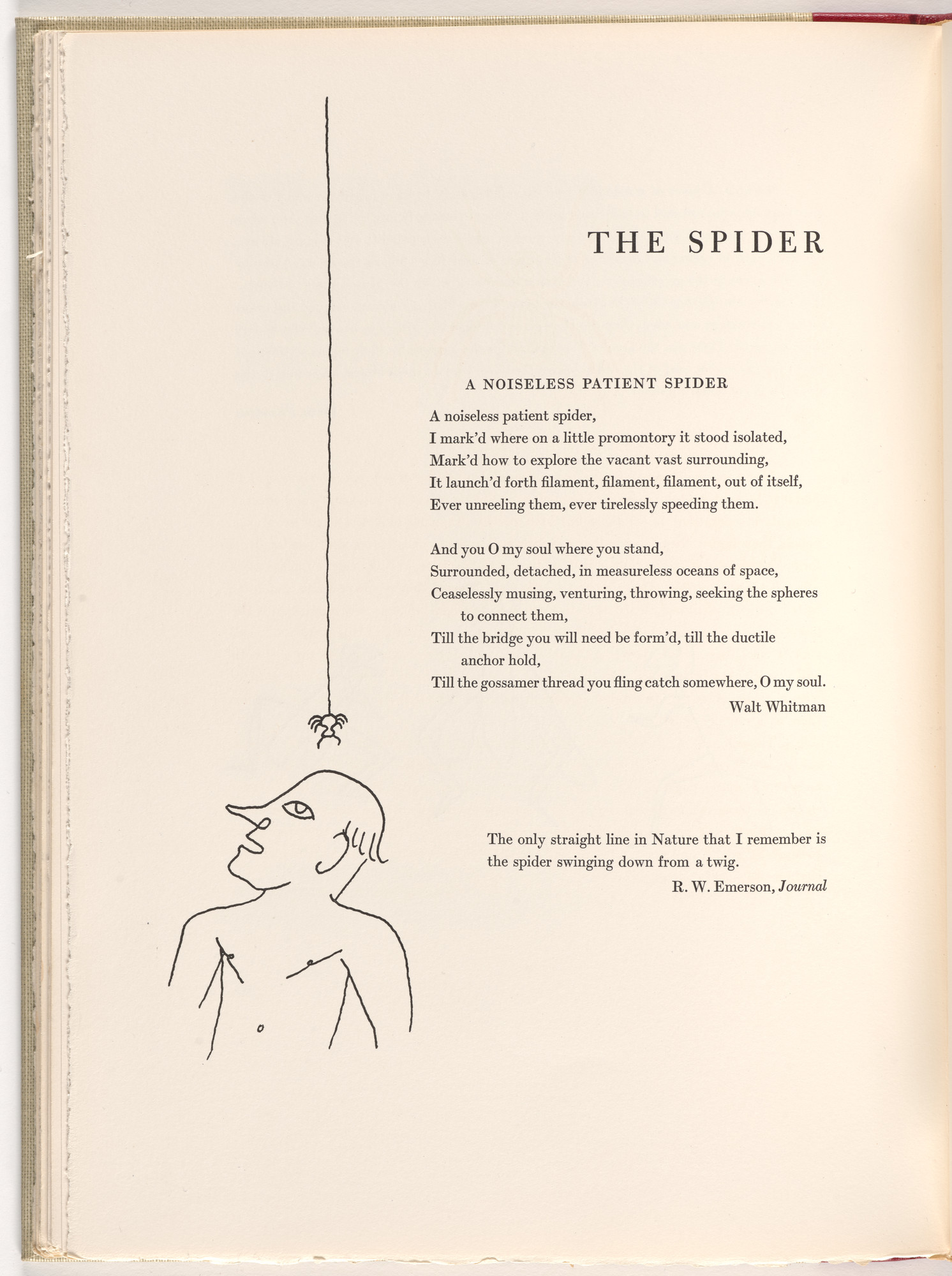 Alexander Calder. In-text plate (page 58) from A Bestiary