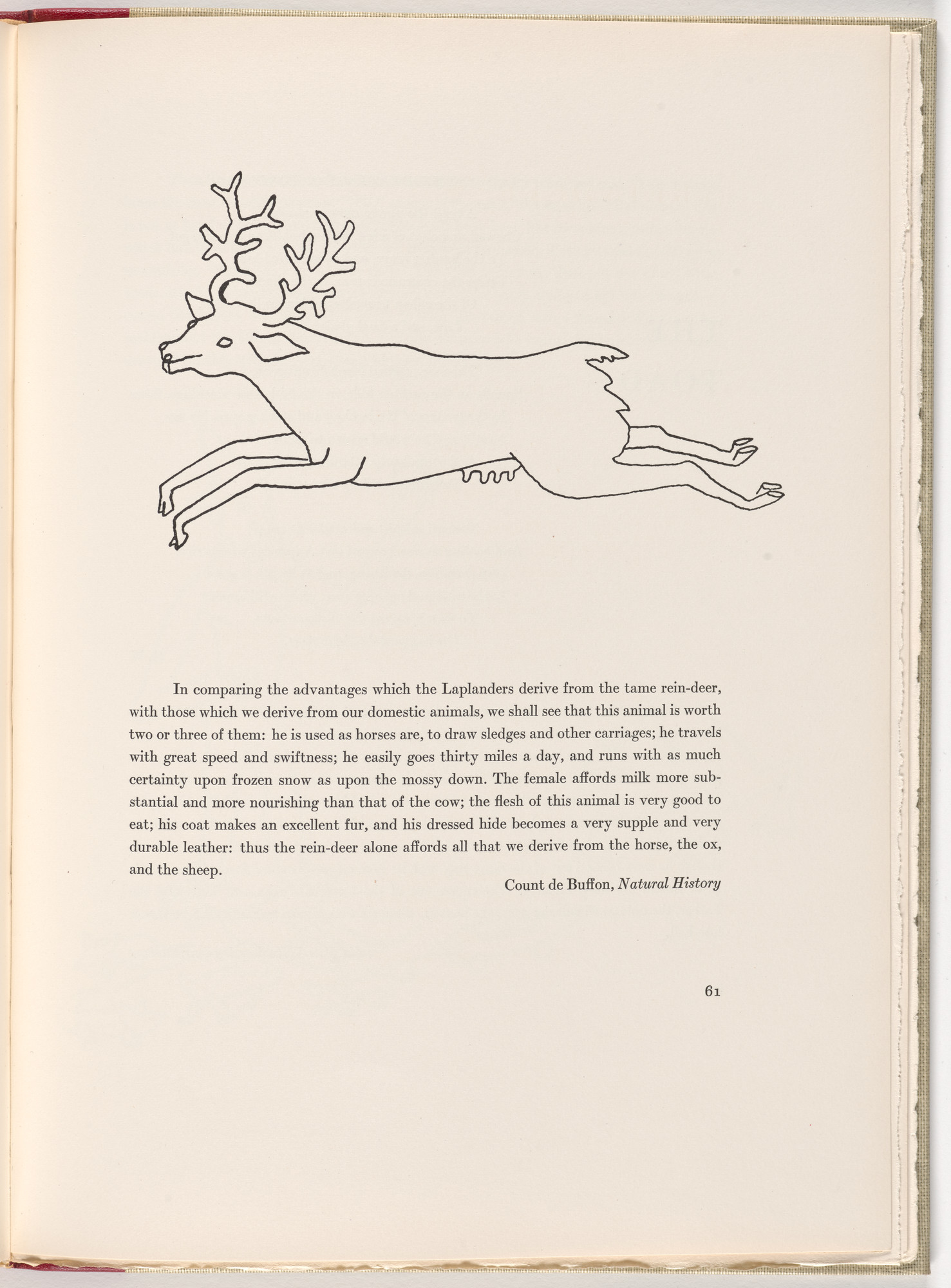 Alexander Calder. In-text plate (page 61) from A Bestiary