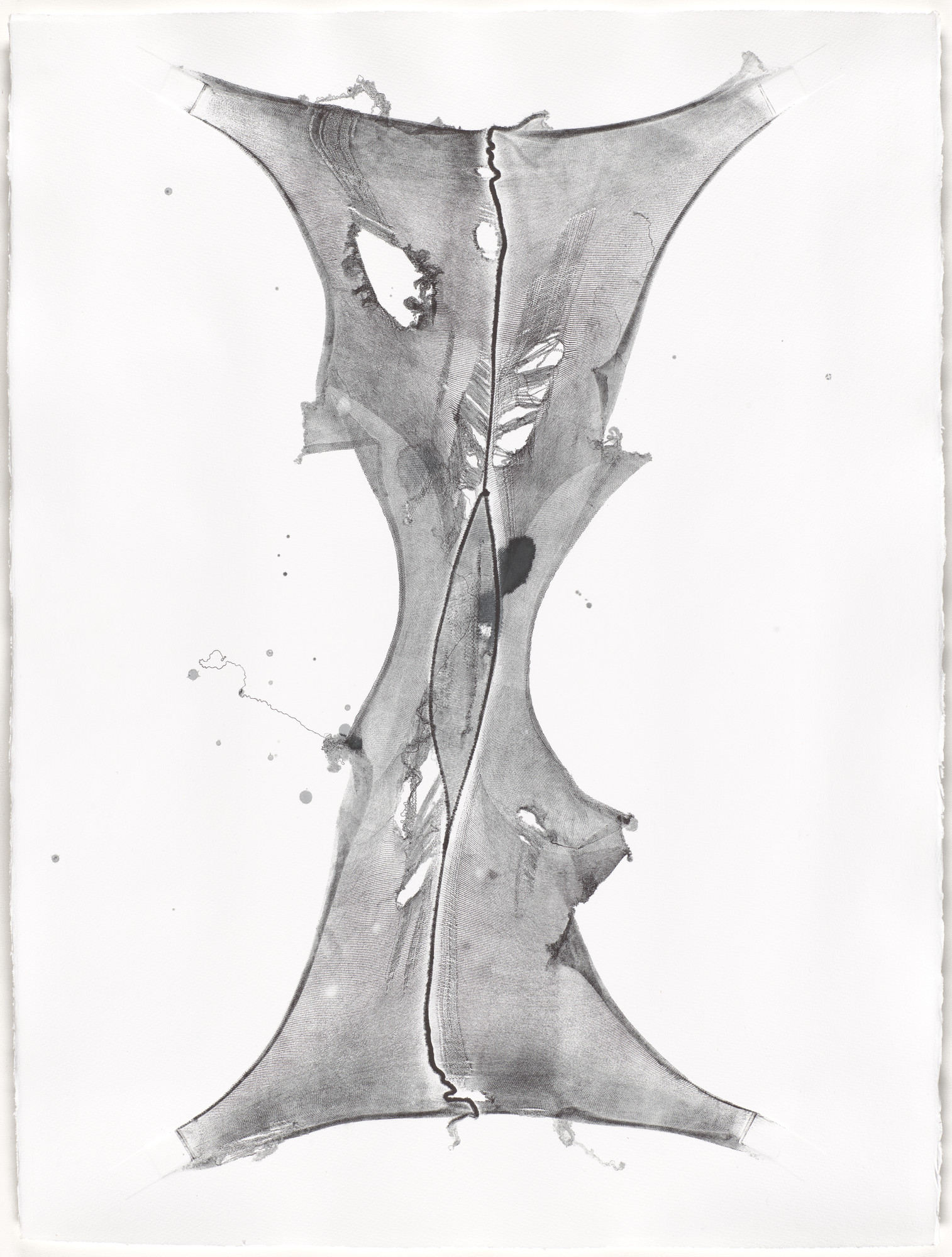 Julia Phillips. Expanded X, Treated Twice