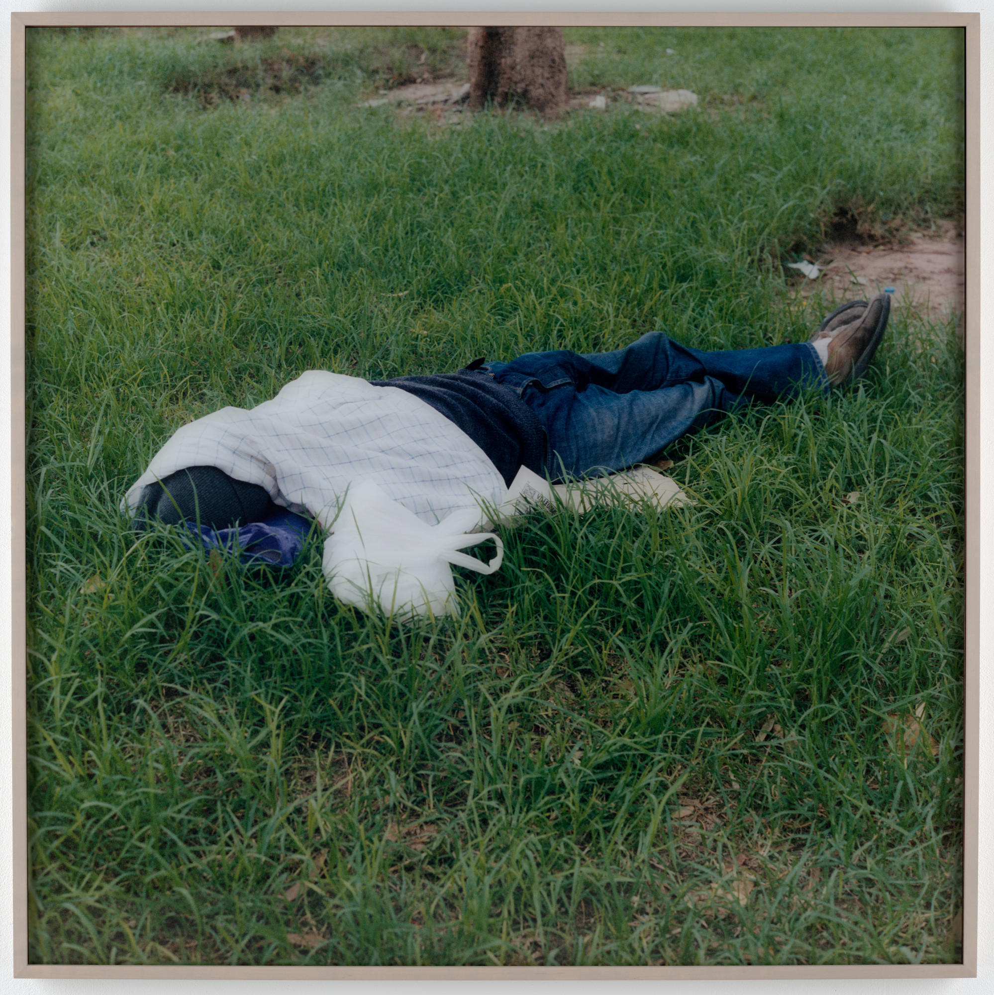 Yto Barrada Dormeur The Sleepers Serie Jardin Public Tangier Fig 8 06 Moma