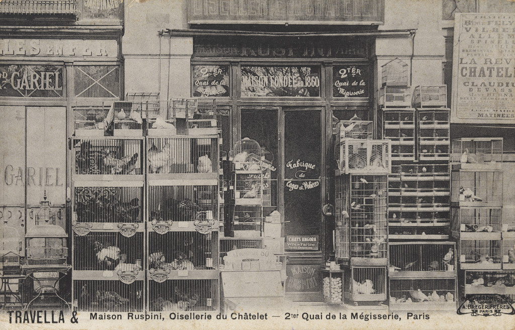 Maison Ruspini, Oisellerie du Châtelet