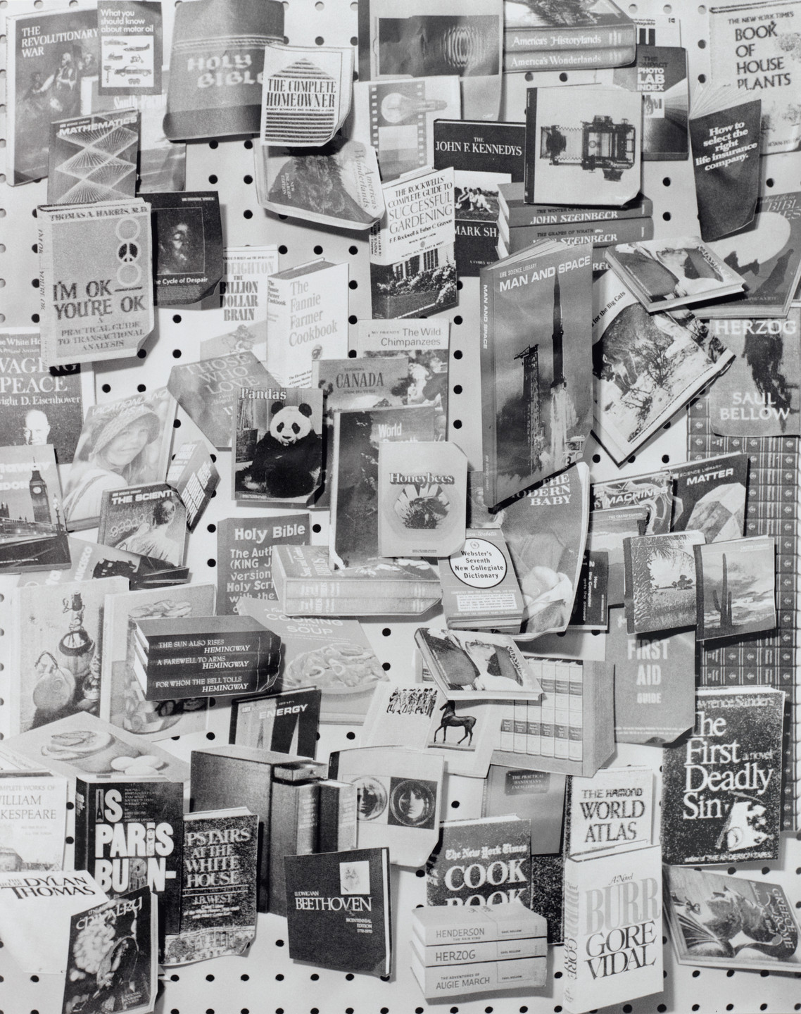 Sara Cwynar. Man and Space (Books 2). 2013