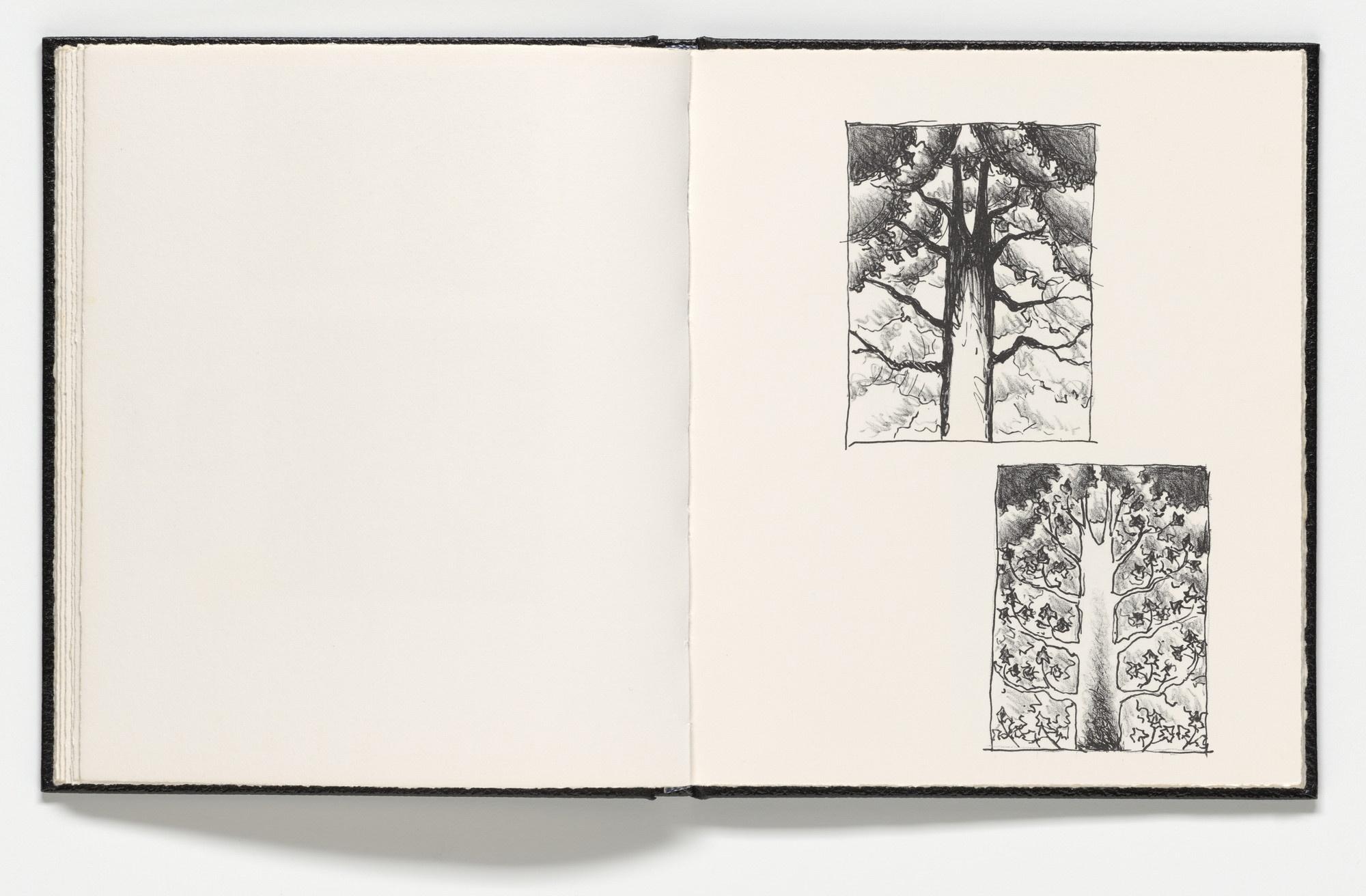 Roger Brown. Plate (folio 15) from Sketchbook 1982