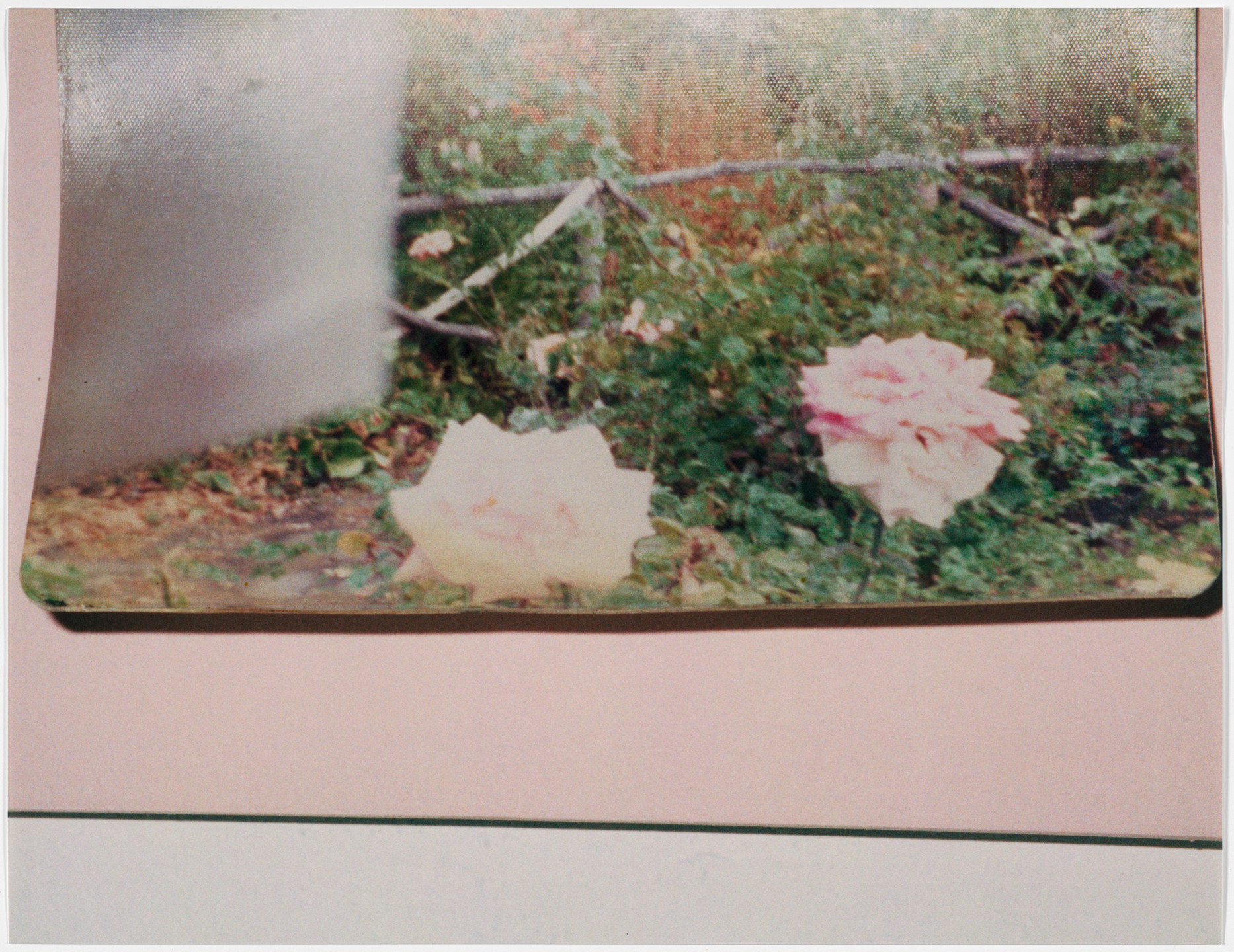 Rachel Harrison. Views of the Garden. 1999