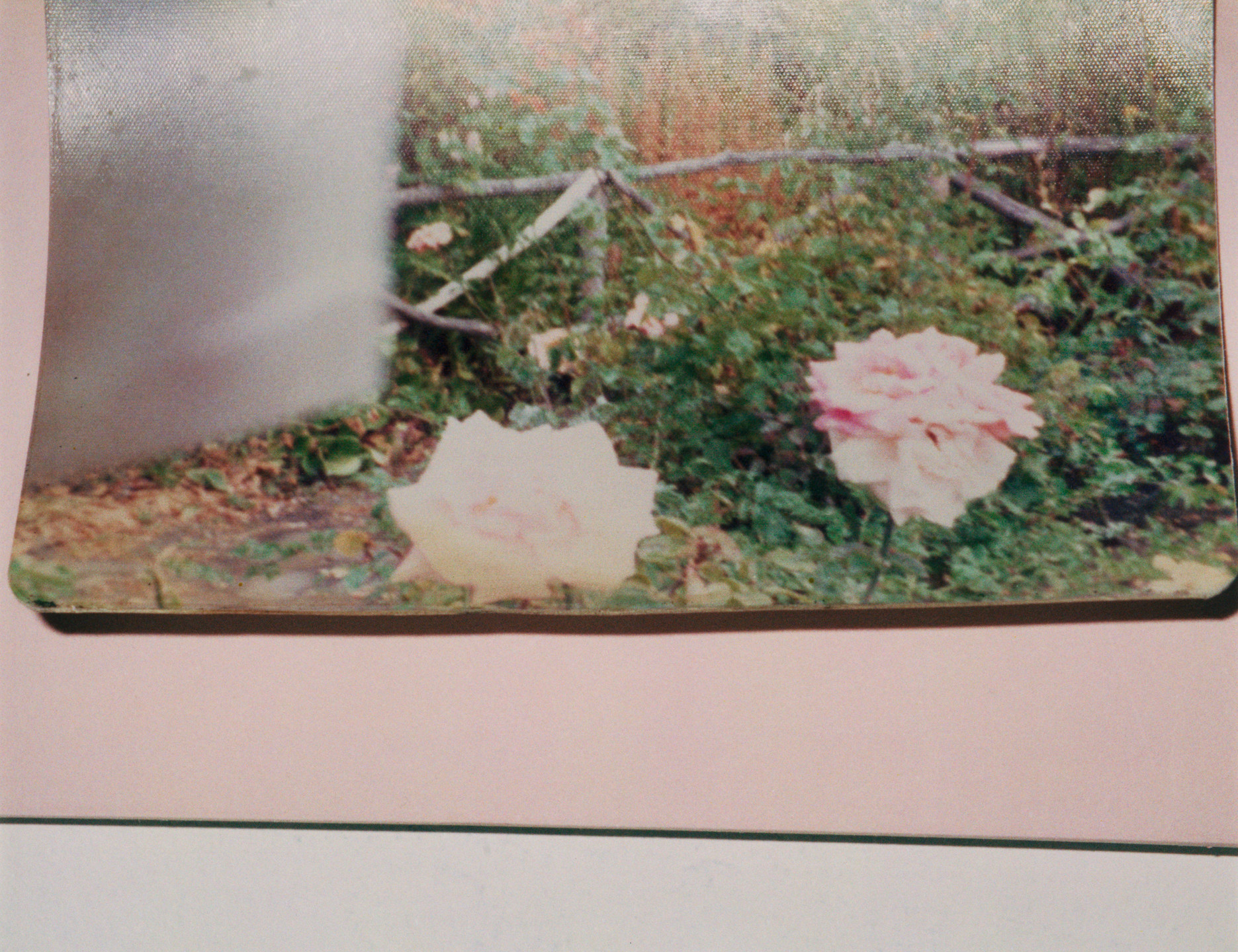Rachel Harrison. Views of the Garden. 1999