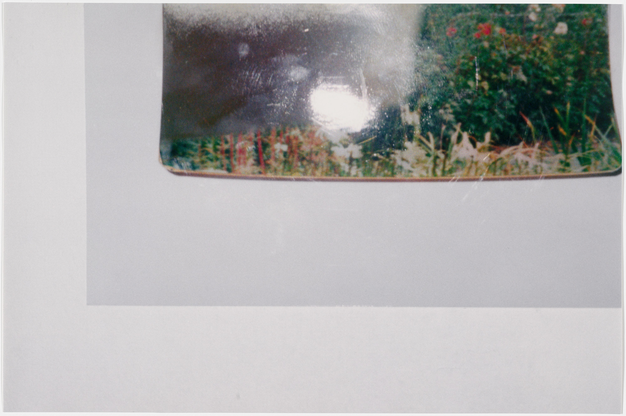 Rachel Harrison. Views of the Garden. 1999