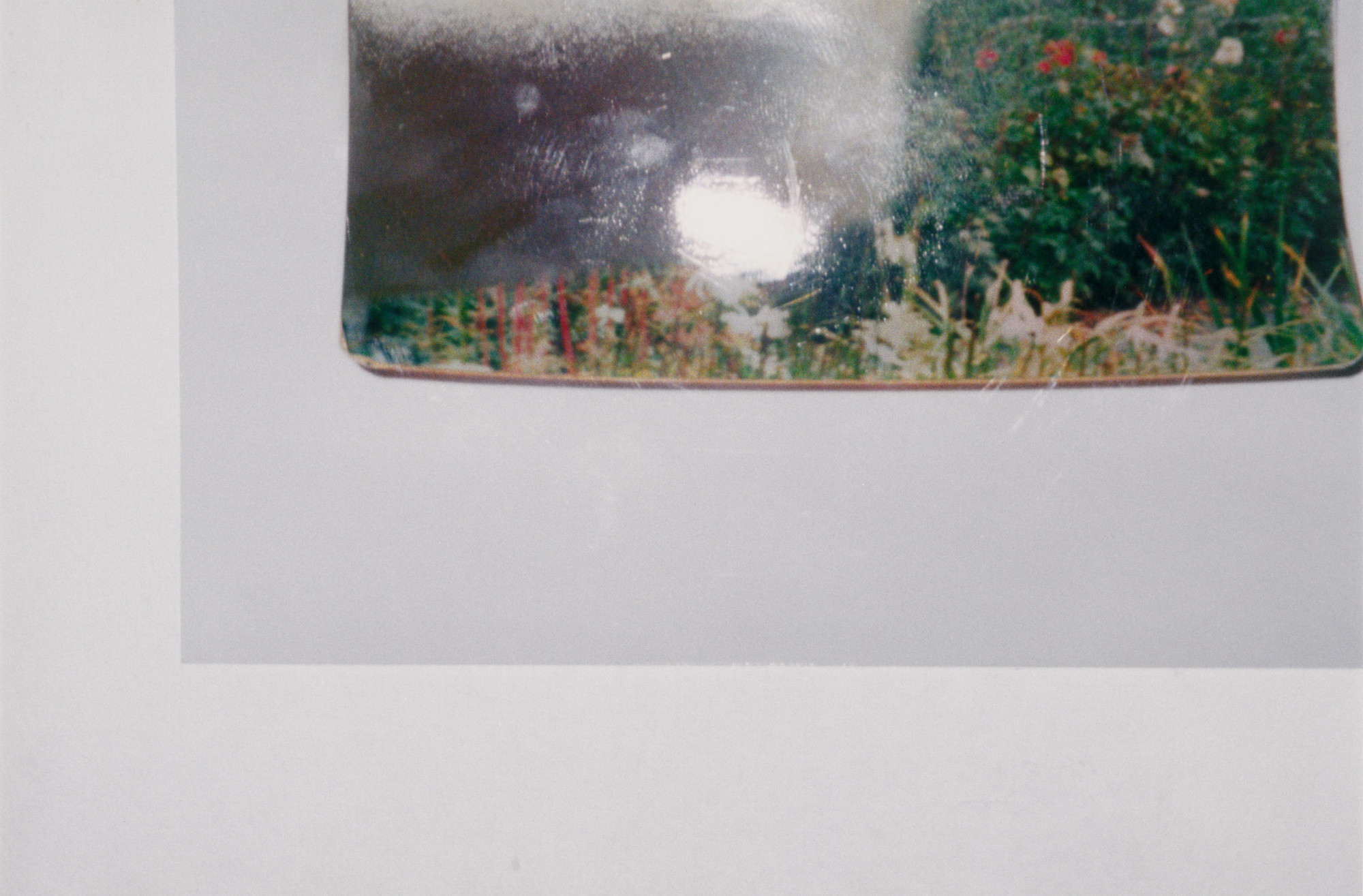 Rachel Harrison. Views of the Garden. 1999