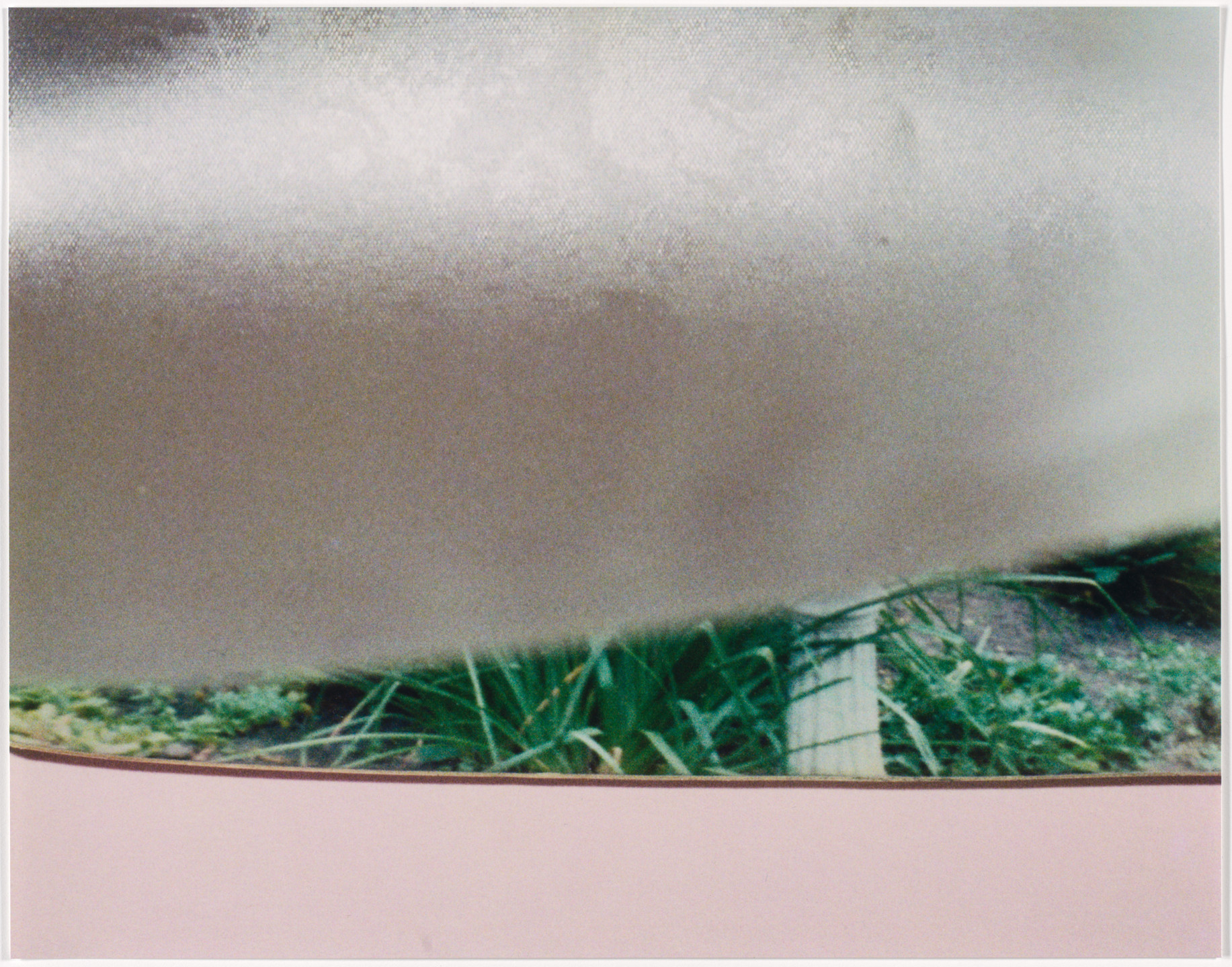 Rachel Harrison. Views of the Garden. 1999