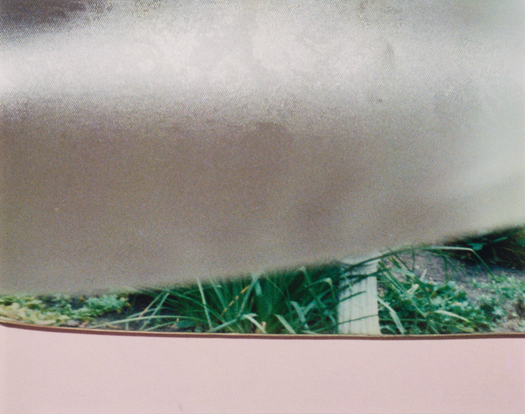 Rachel Harrison. Views of the Garden. 1999