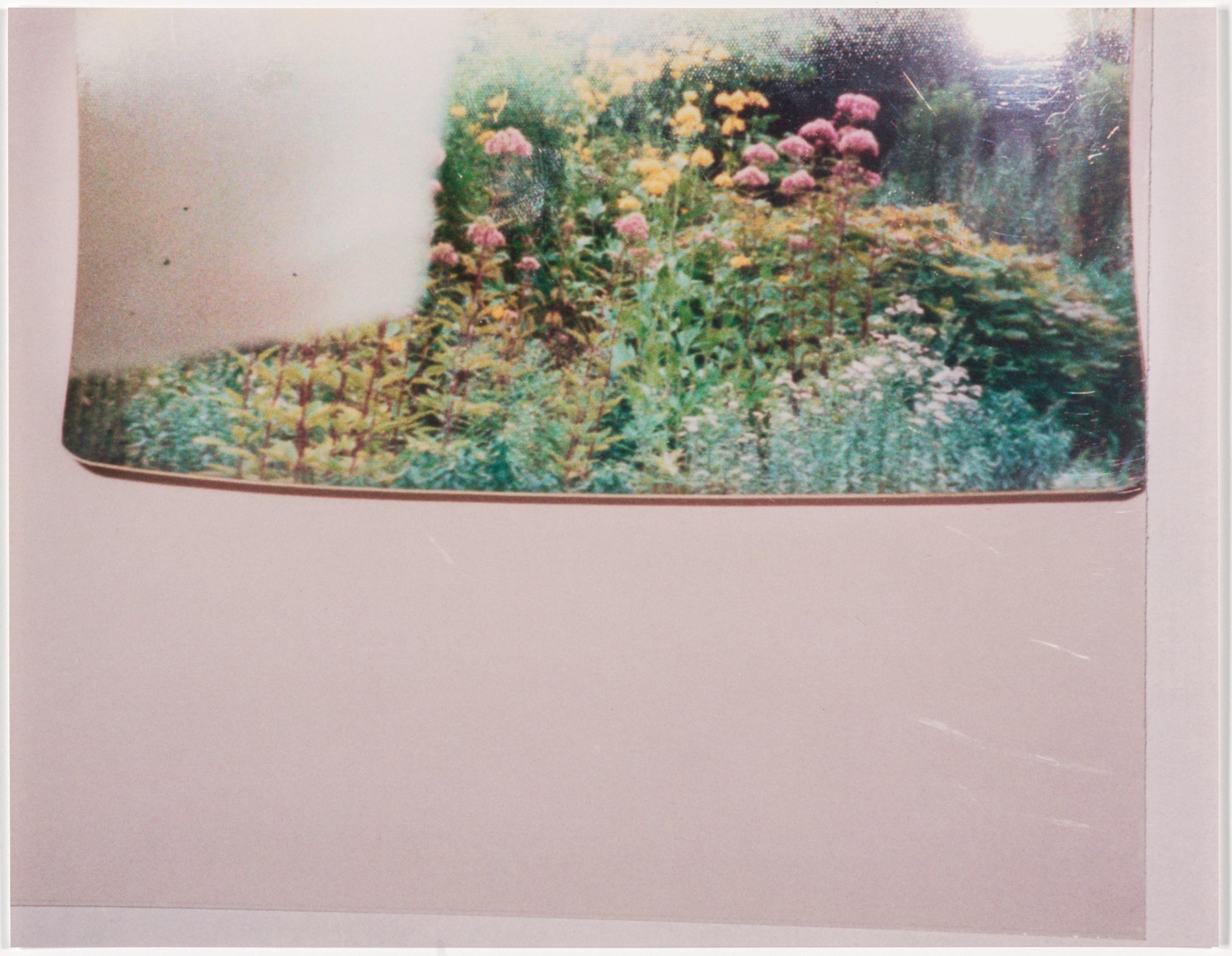 Rachel Harrison. Views of the Garden. 1999