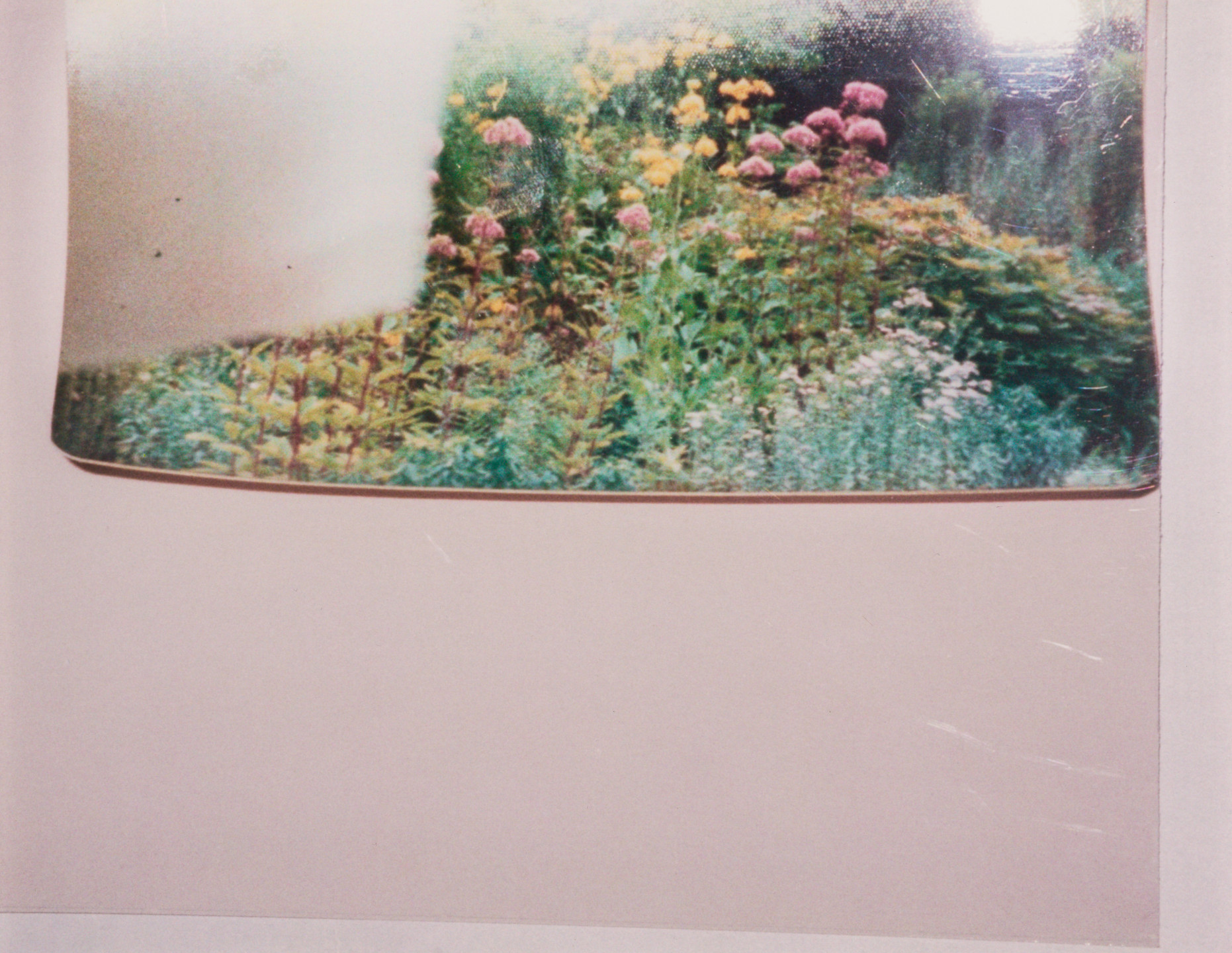 Rachel Harrison. Views of the Garden. 1999