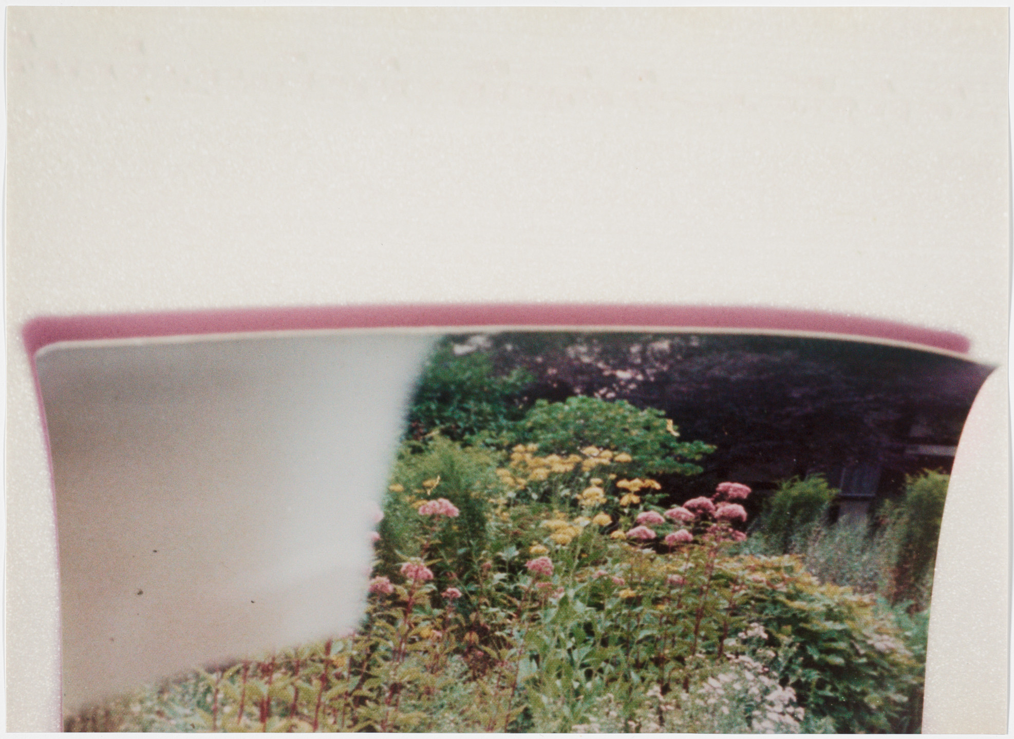 Rachel Harrison. Views of the Garden. 1999