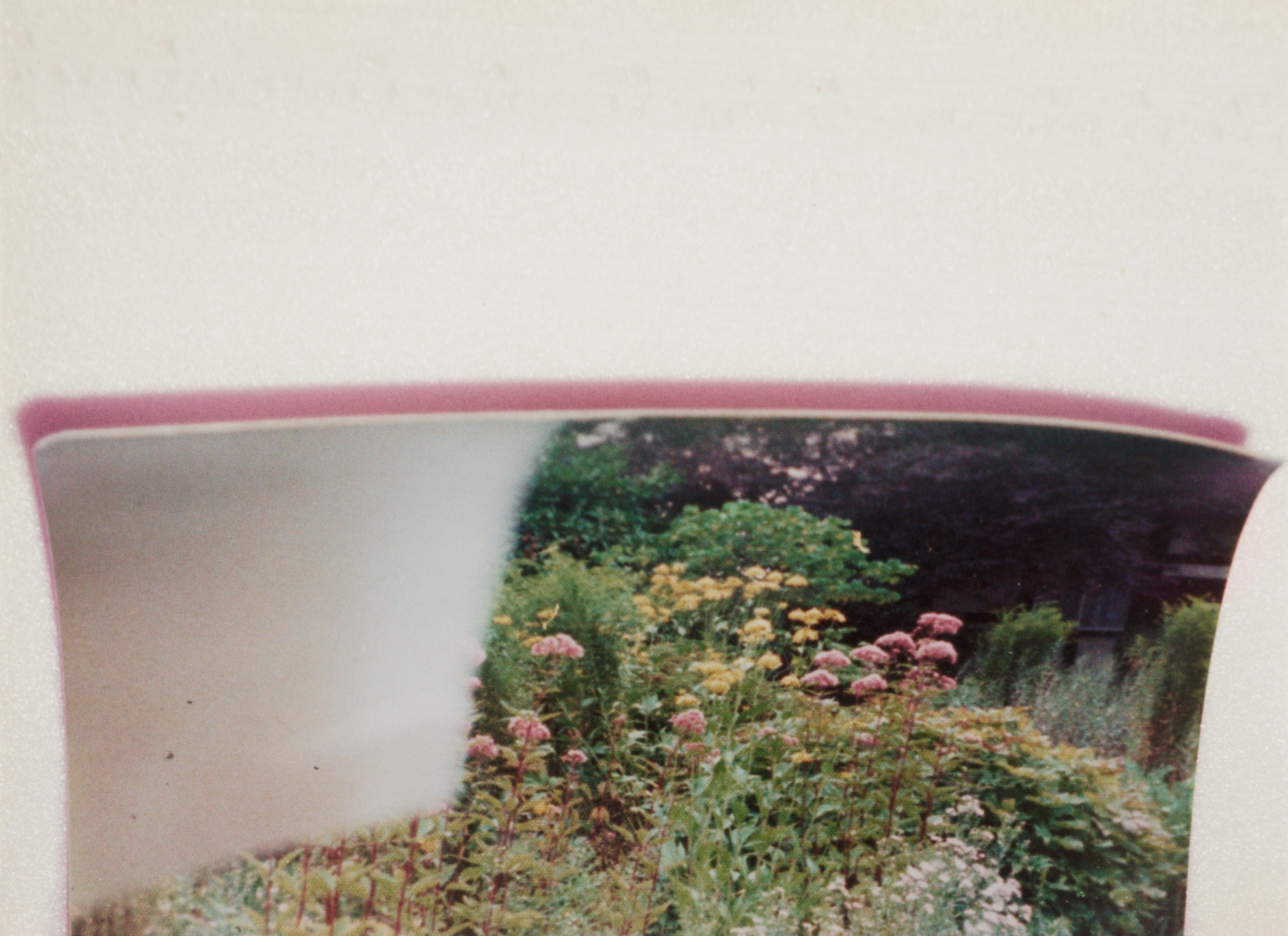 Rachel Harrison. Views of the Garden. 1999