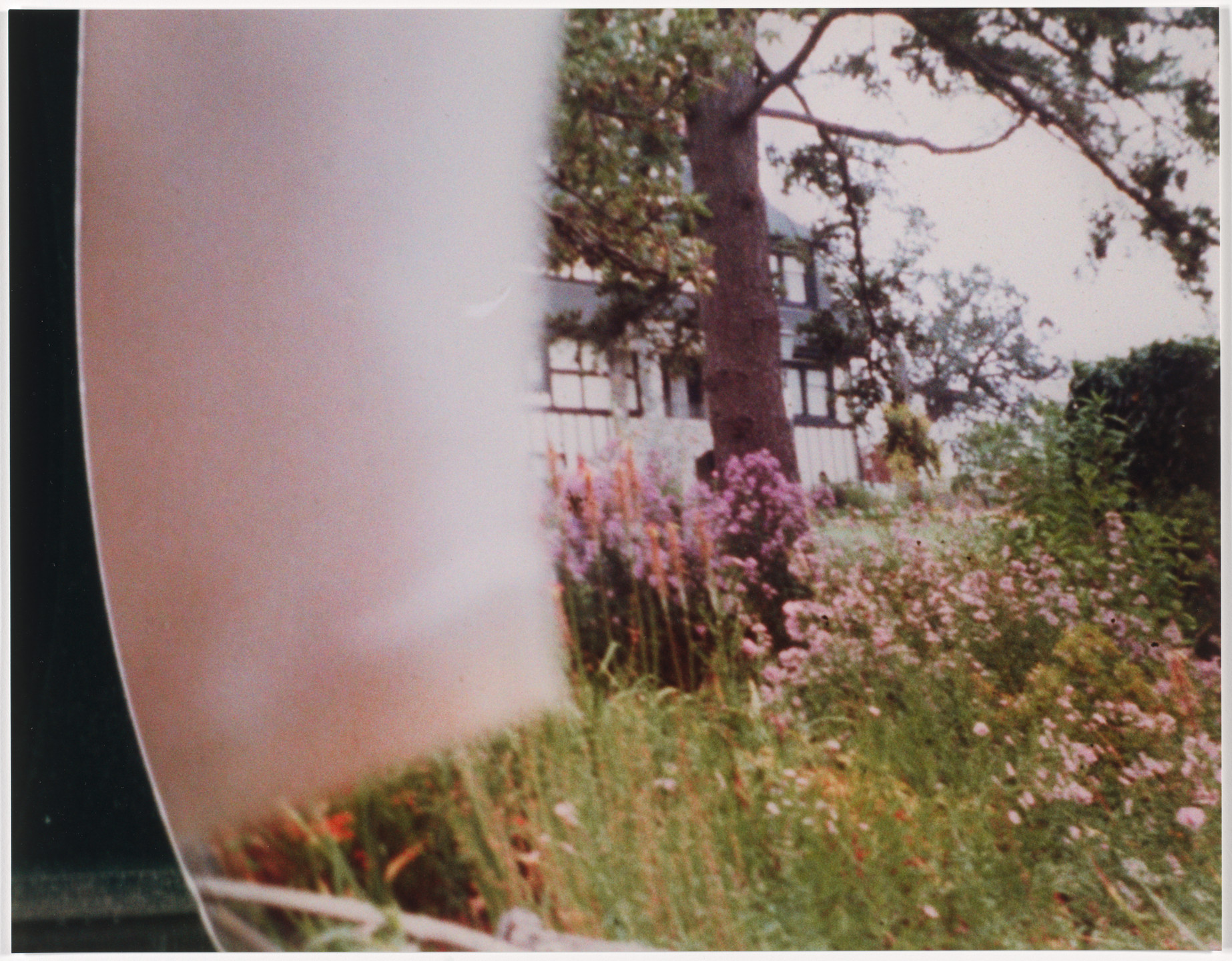 Rachel Harrison. Views of the Garden. 1999