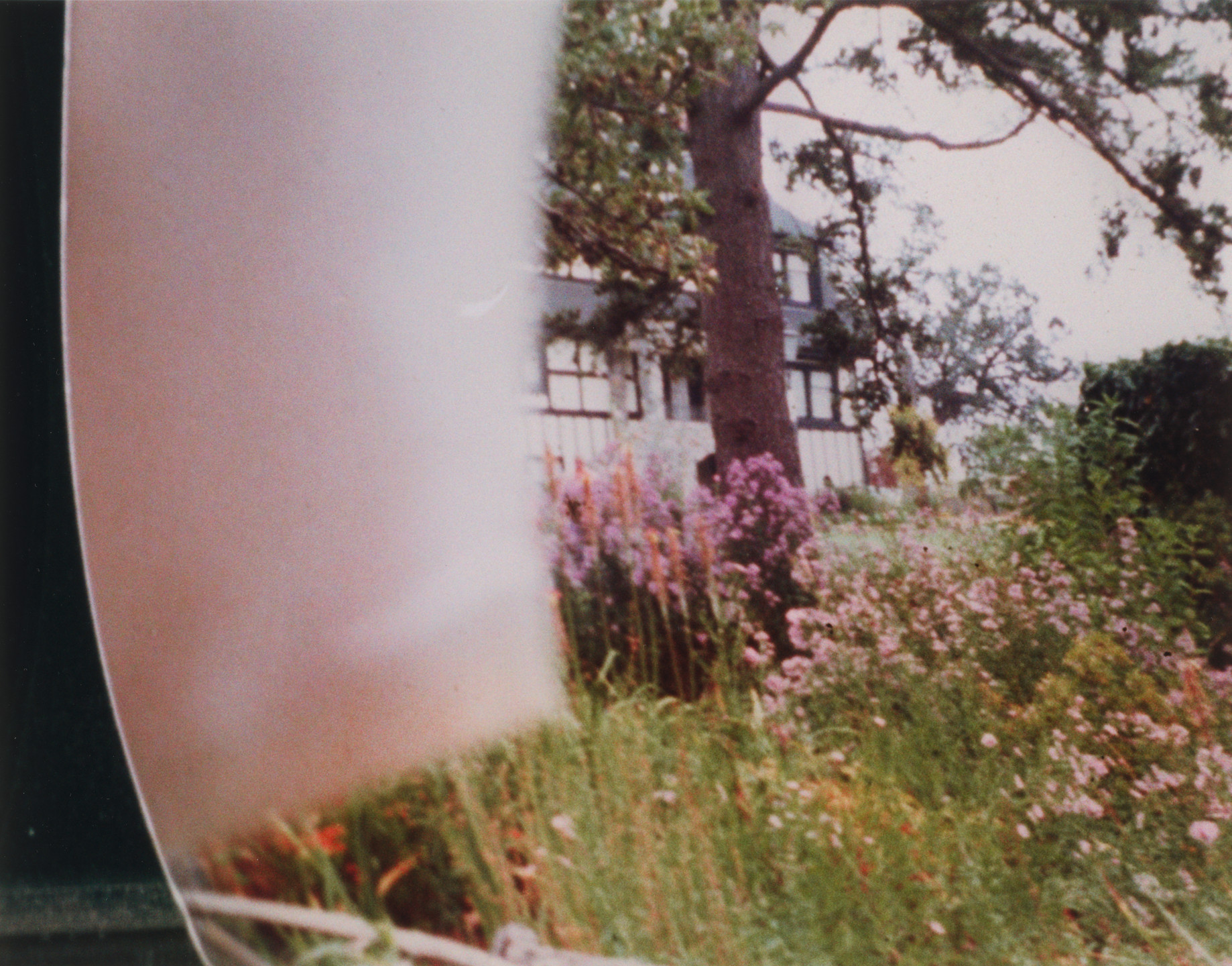 Rachel Harrison. Views of the Garden. 1999