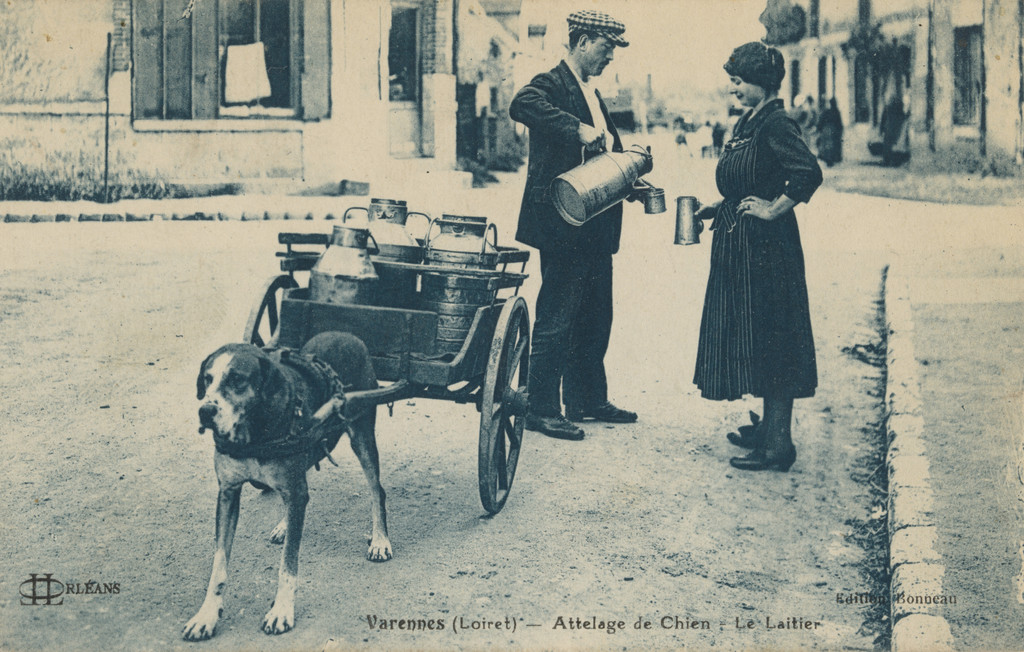 Attelage de chien, Le laitier, Varennes (Loiret)