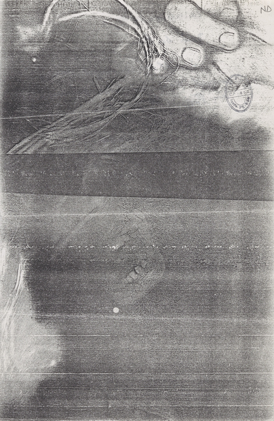 Paulo Bruscky. [untitled]. n.d.