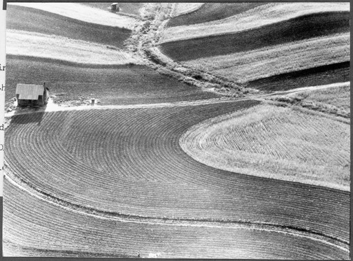 Robert Joseph Flaherty, Frances Flaherty. The Land. 1942