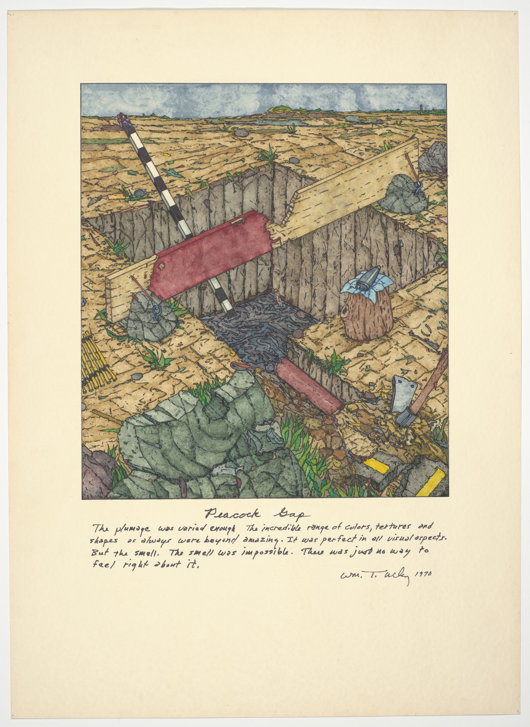 William T. Wiley. Peacock Gap. 1970