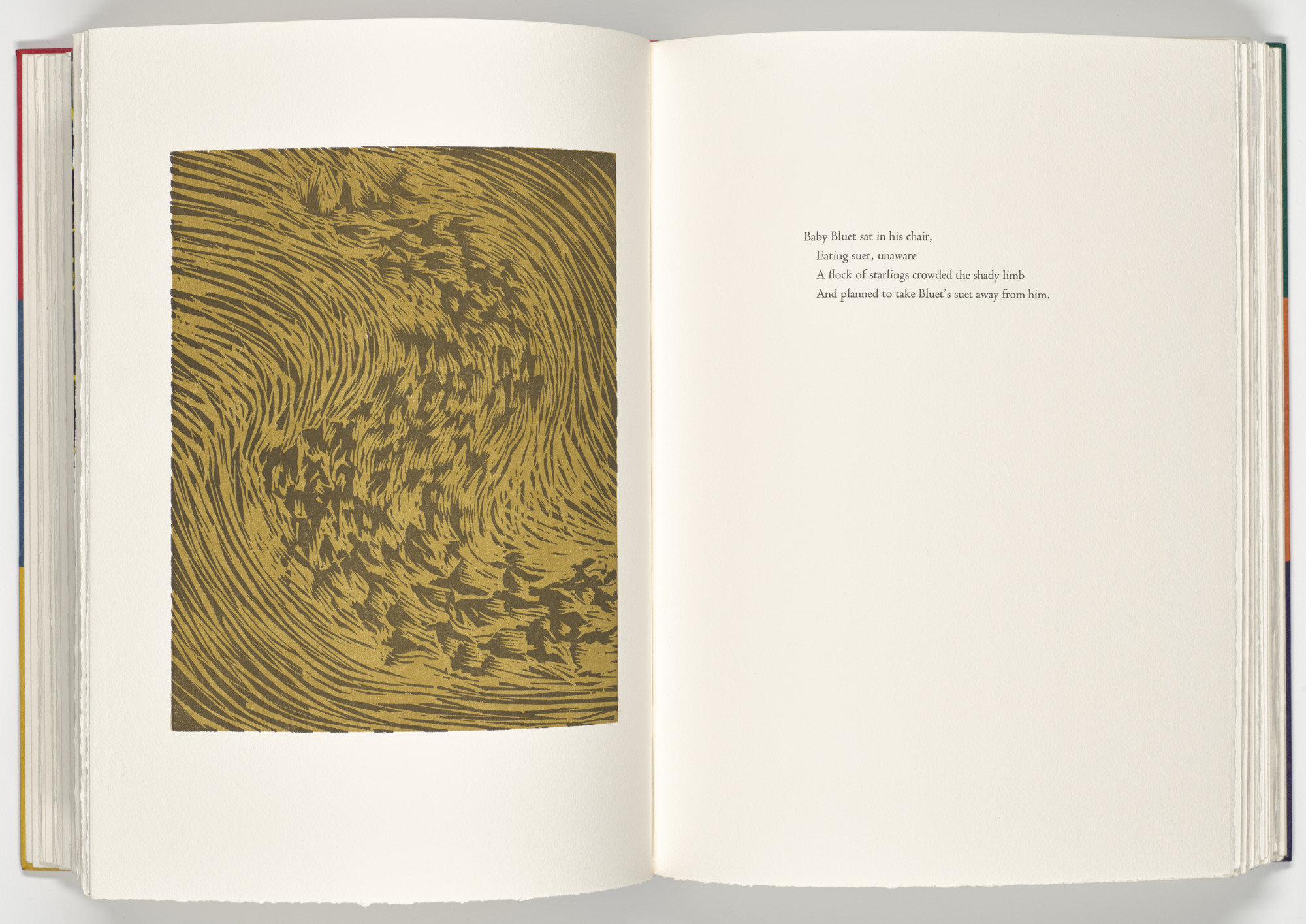 James Nares. Starling (plate, folio 27 verso) from A Bestiary. 1990