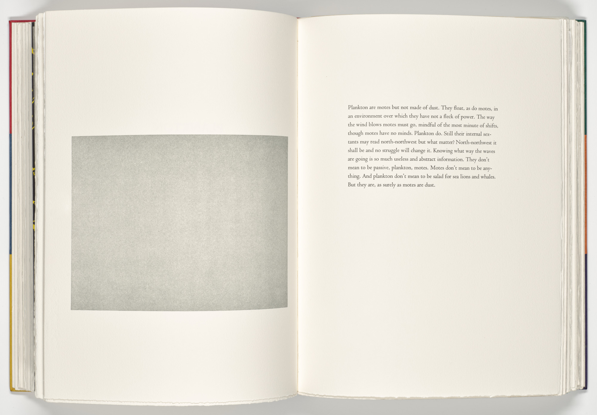 Ellen Phelan. Plankton (plate, folio 29 verso) from A Bestiary