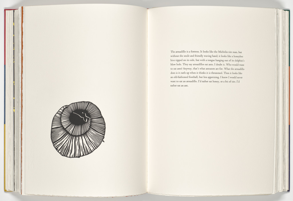 Armadillo (plate, folio 35 verso) from A Bestiary