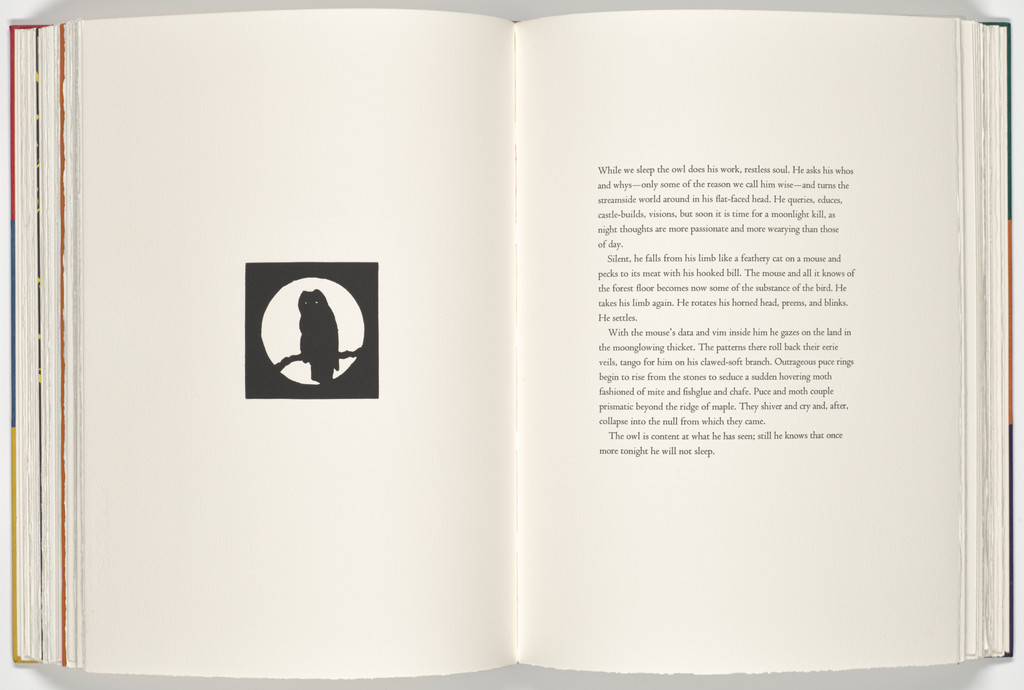 Owl (plate, folio 43 verso) from A Bestiary