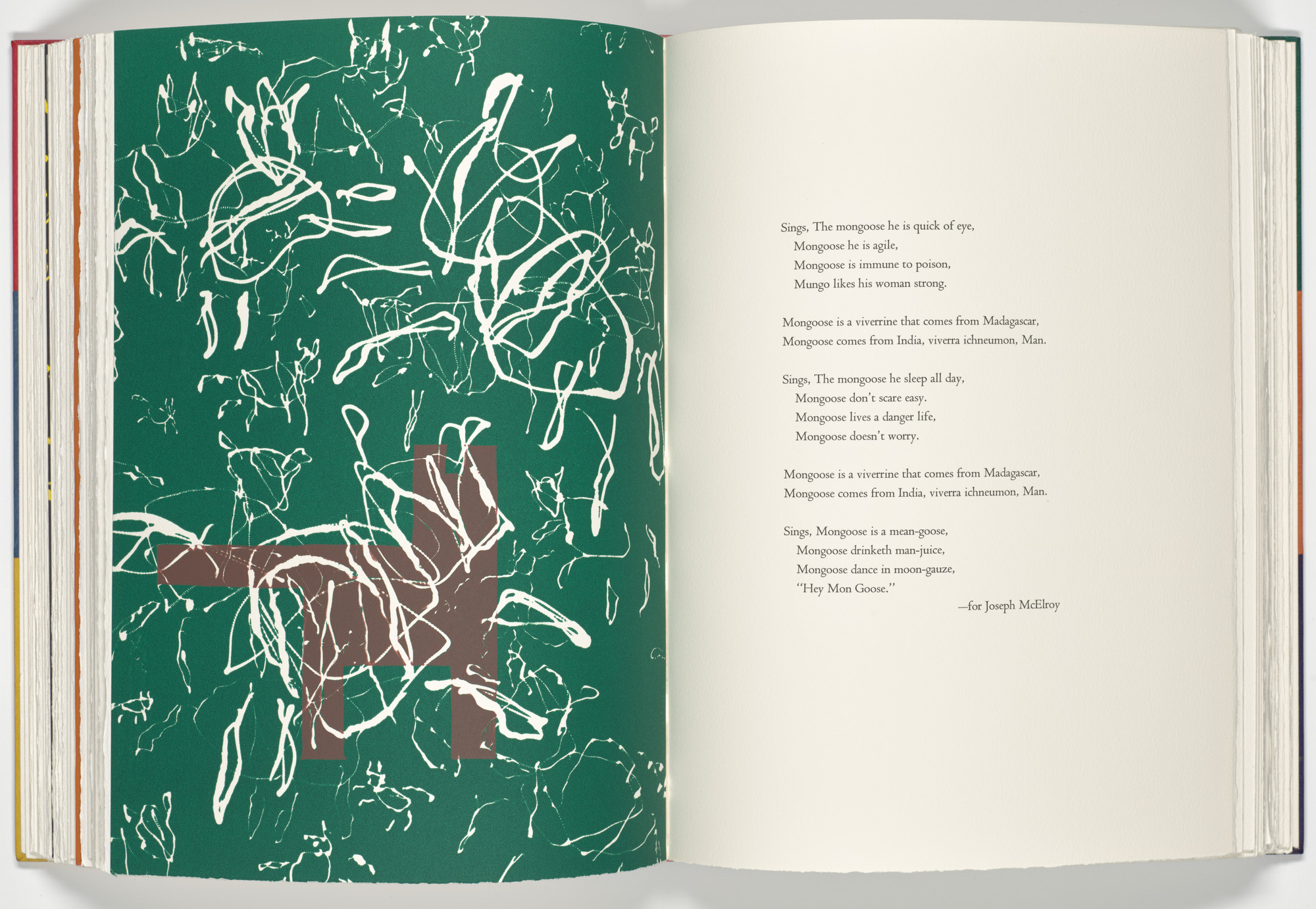 Louisa Chase Mongoose Plate Folio 45 Verso From A Bestiary 1990 Moma