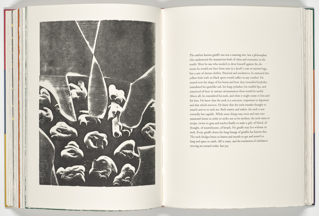 Giraffe (plate, folio 49 verso) from A Bestiary