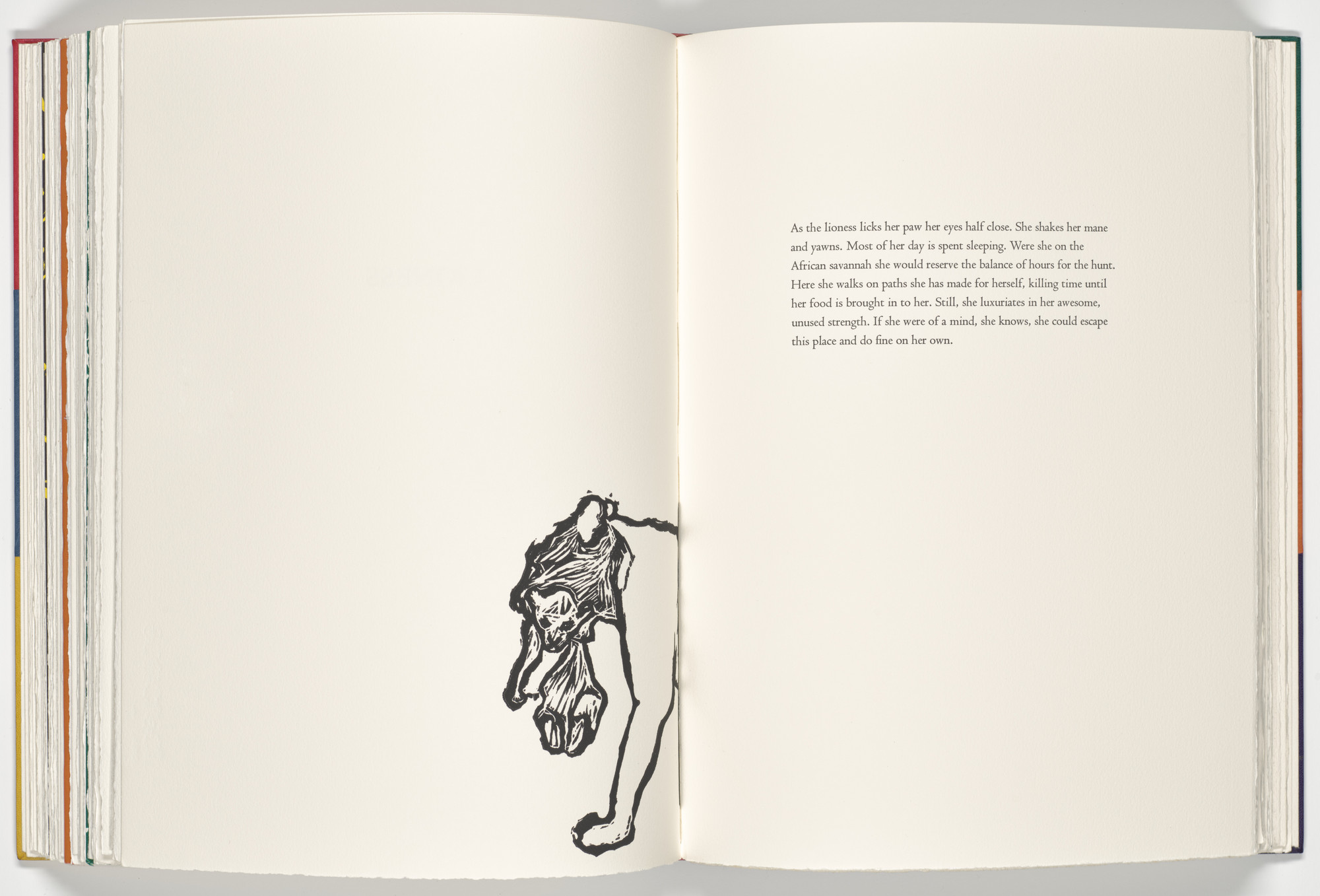 Jan Hashey. Lioness (plate, folio 57 verso) from A Bestiary. 1990