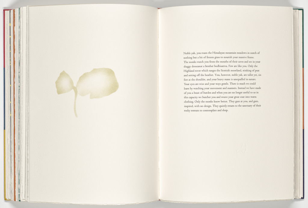 Yak (plate, folio 59 verso) from A Bestiary