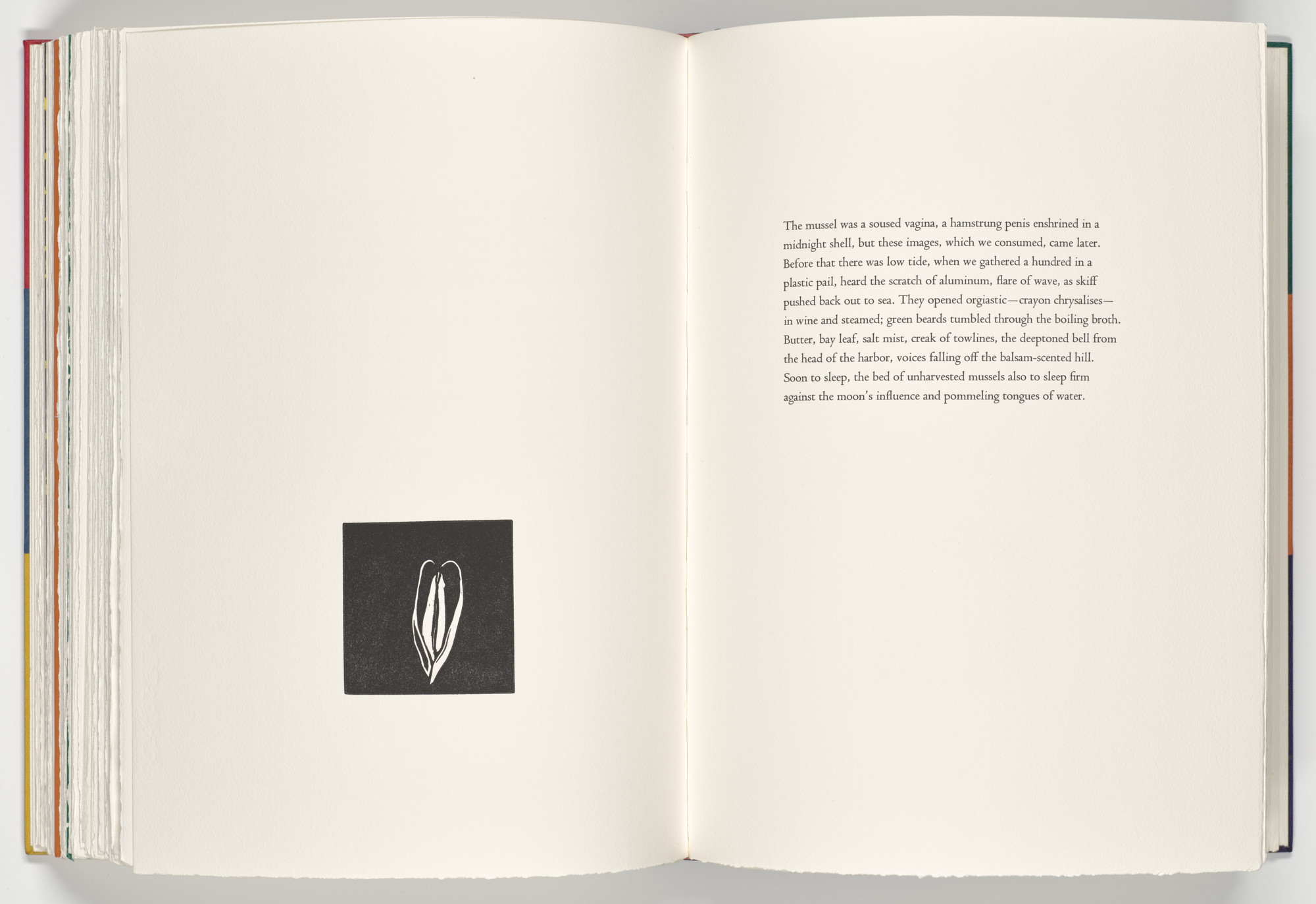 Ellen Phelan. Mussel (plate, folio 69 verso) from A Bestiary