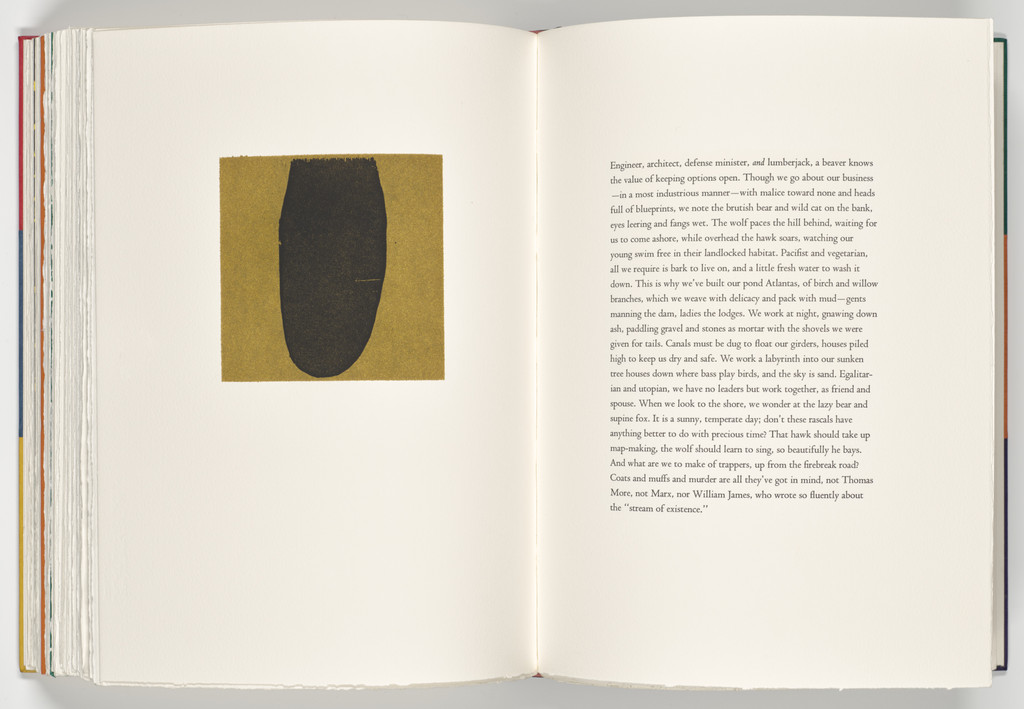 Beaver (plate, folio 71 verso) from A Bestiary