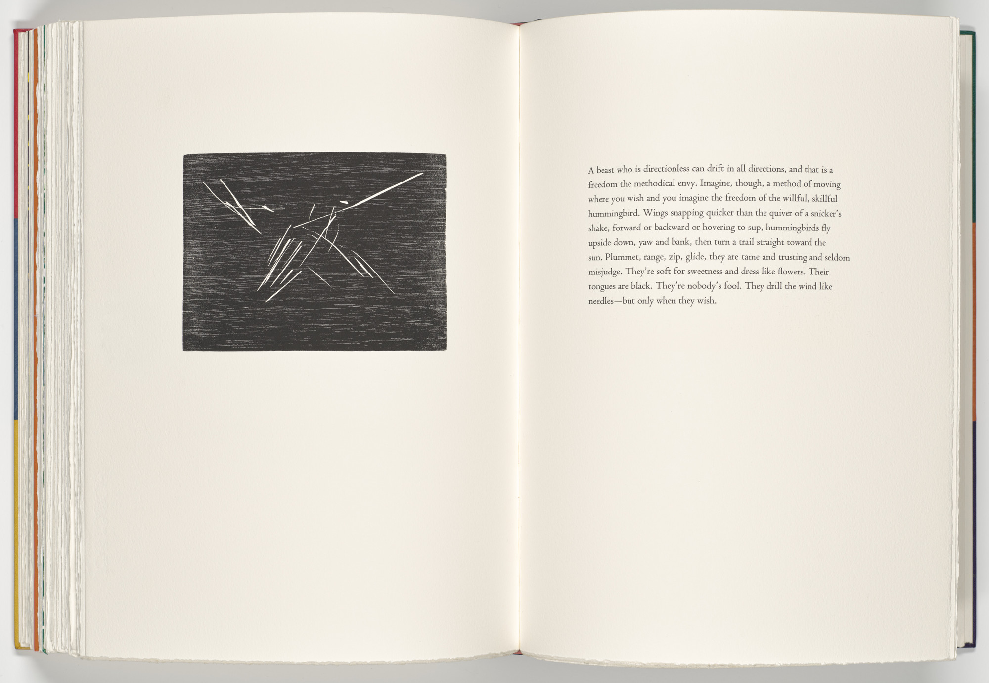 Joel Shapiro. Hummingbird (plate, folio 73 verso) from A Bestiary