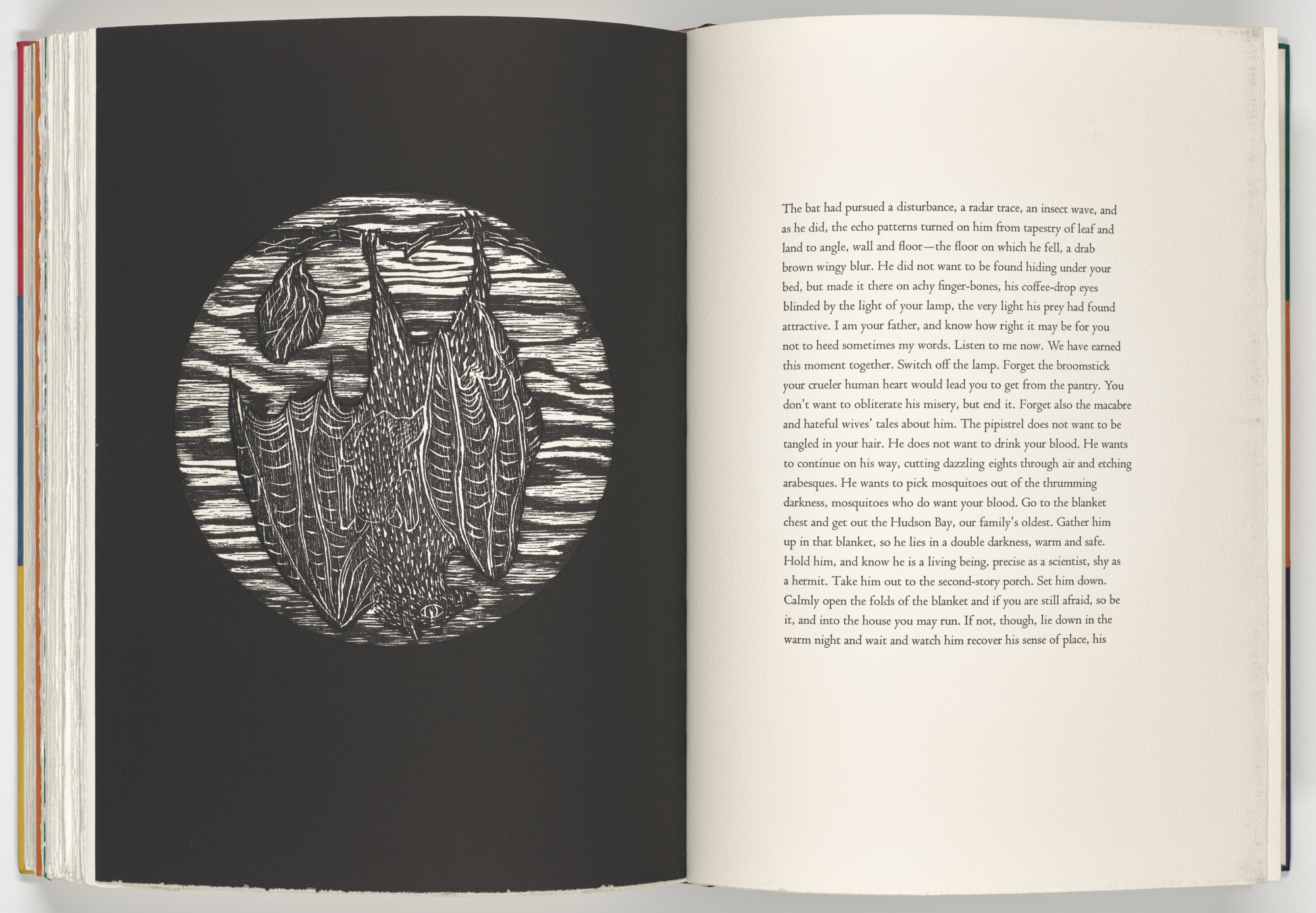 Kiki Smith. Bat (plate, folio 79 verso) from A Bestiary. 1990