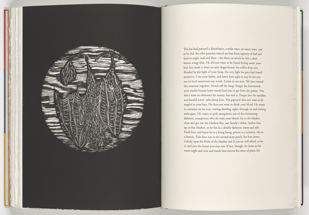 Bat (plate, folio 79 verso) from A Bestiary