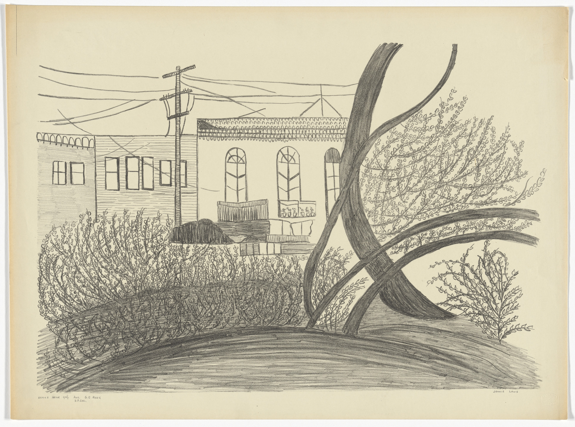 Jennie Lewis. Scene Near 9th Ave.; G.G. Park; San Francisco California. c.1935–43