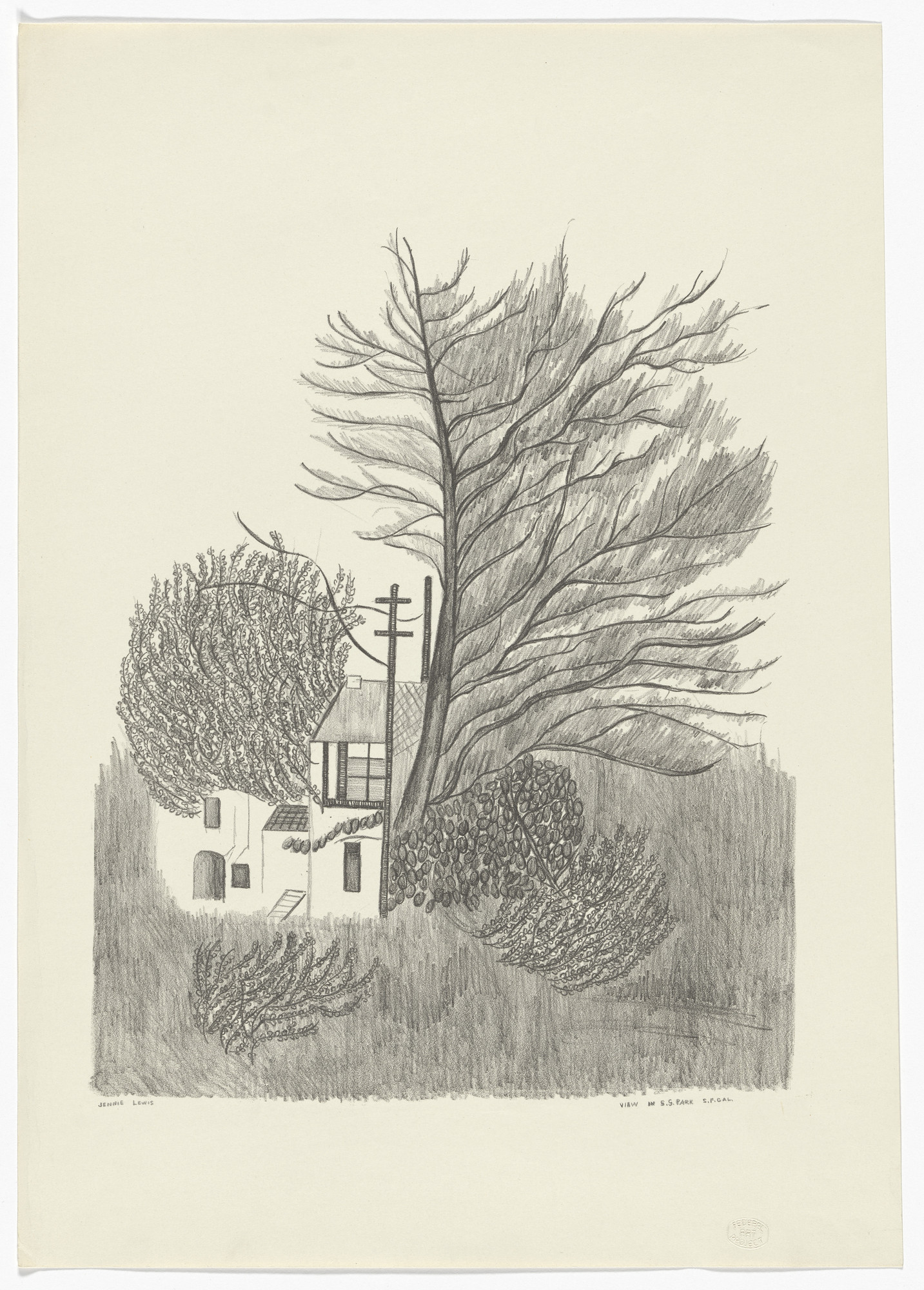 Jennie Lewis. View in G.G. Park; San Francisco California