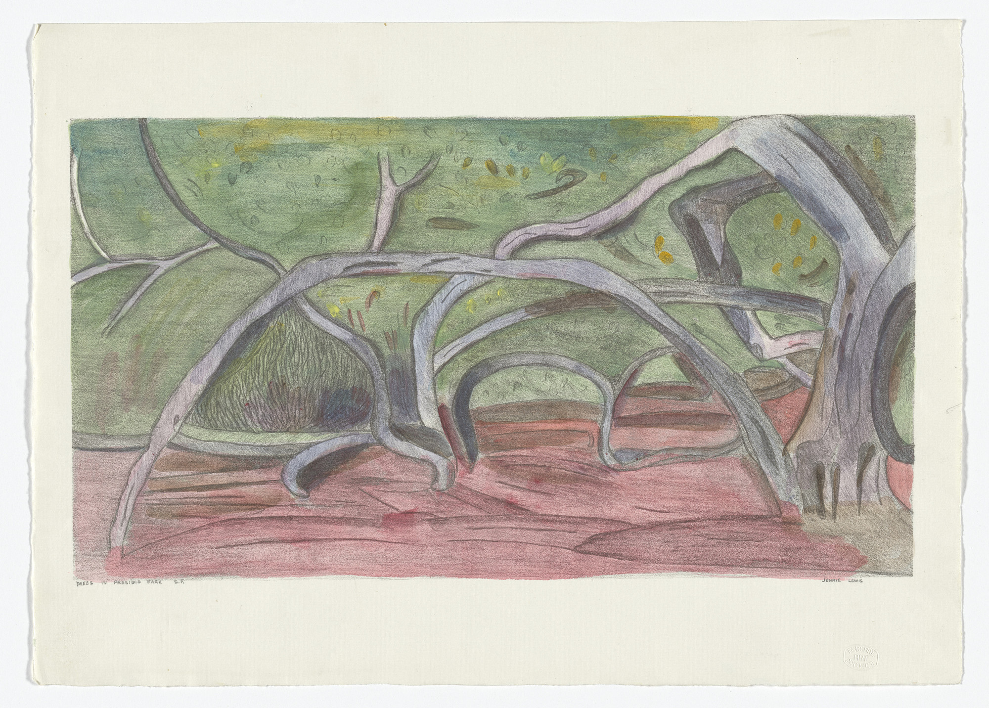Jennie Lewis. Trees in Presidio Park; San Francisco. 1939